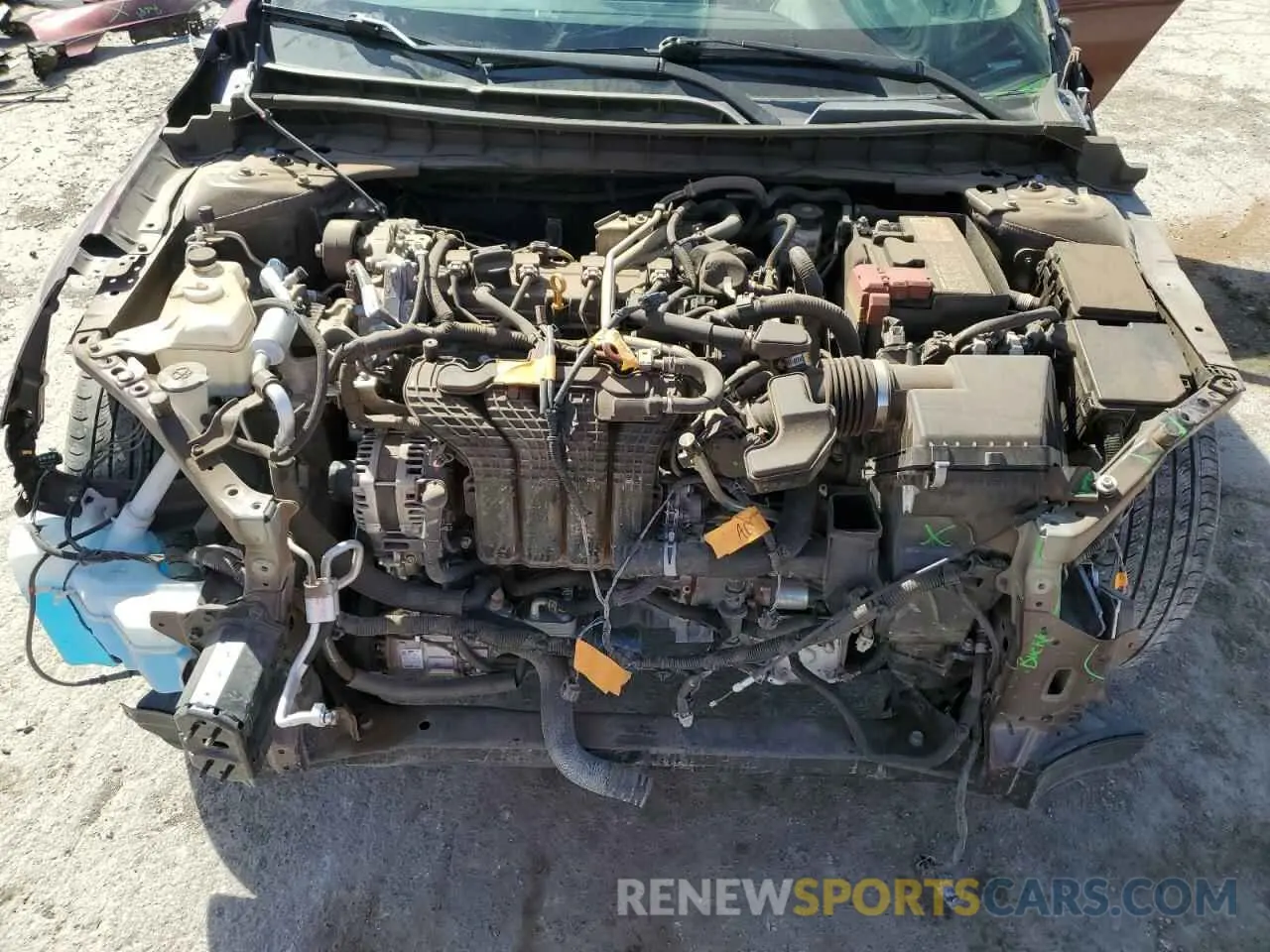 13 Photograph of a damaged car 1N4BL4DV6PN375925 NISSAN ALTIMA 2023
