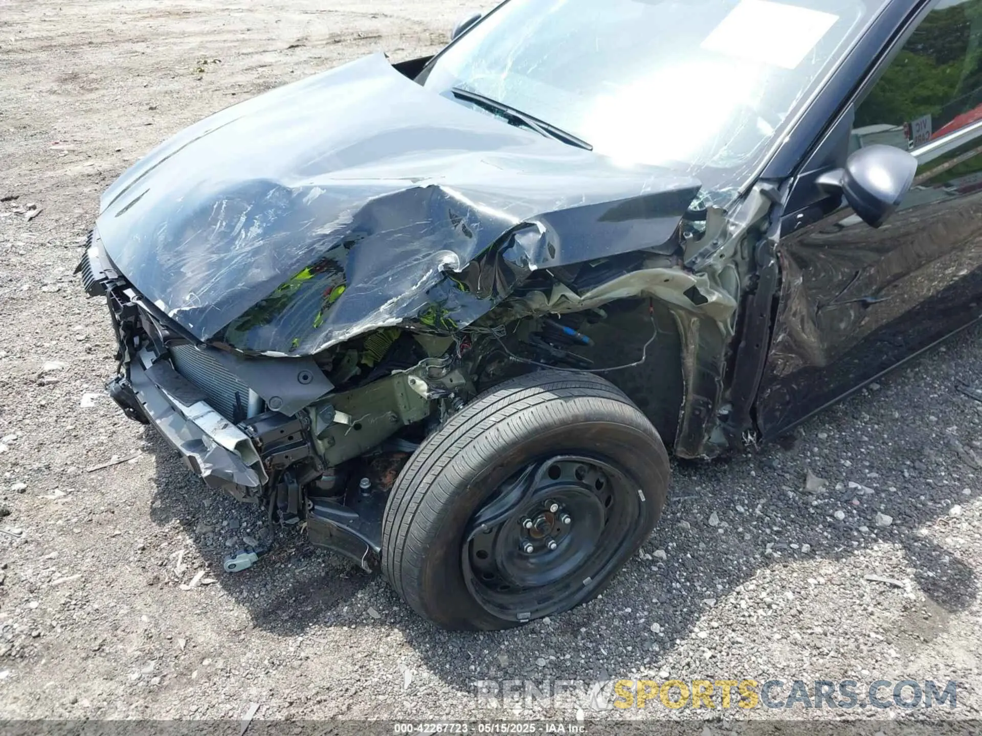 6 Photograph of a damaged car 1N4BL4BV5RN377445 NISSAN ALTIMA 2024