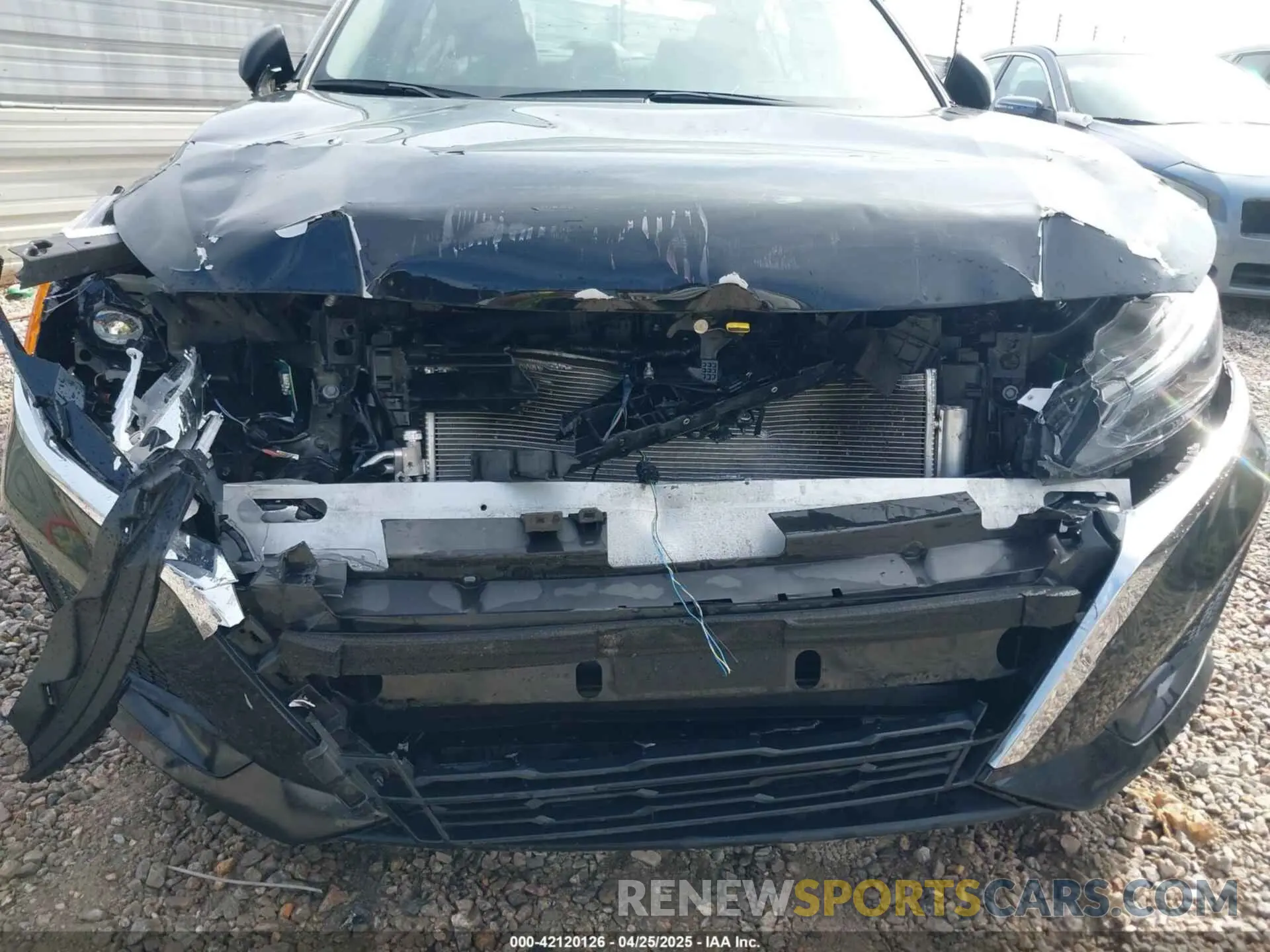 6 Photograph of a damaged car 1N4BL4DV6RN336559 NISSAN ALTIMA 2024