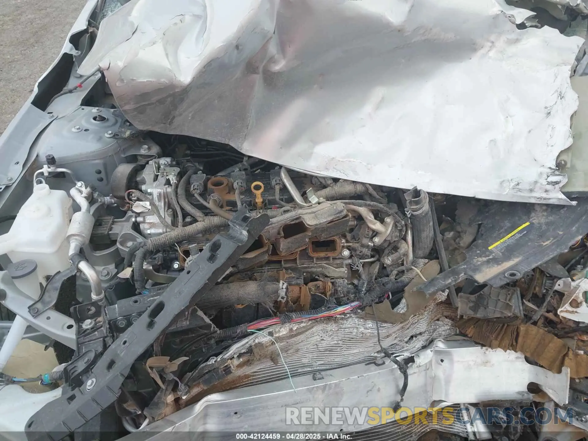 10 Photograph of a damaged car 1N4BL4DV7RN378187 NISSAN ALTIMA 2024
