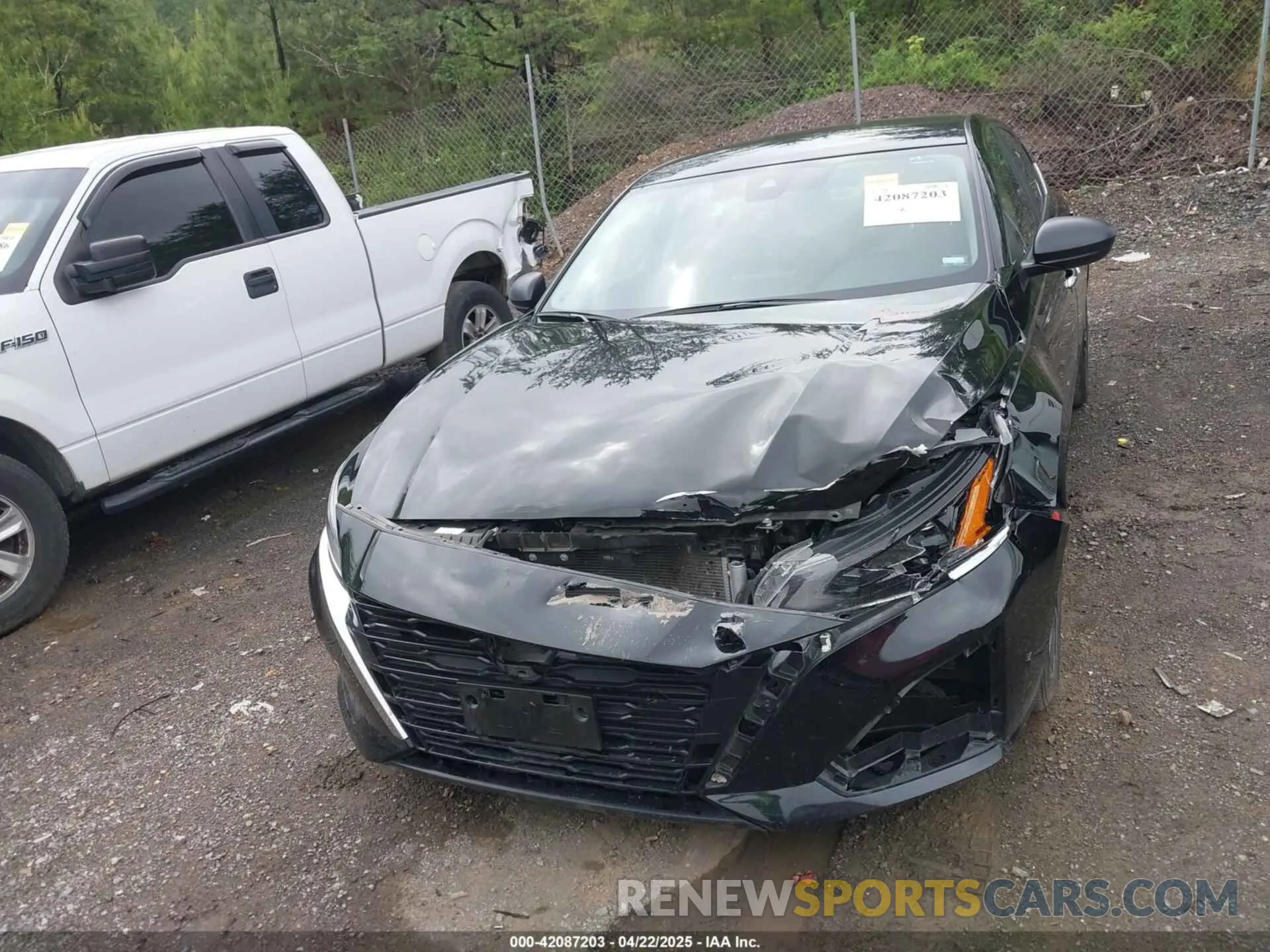 6 Photograph of a damaged car 1N4BL4DV7RN386256 NISSAN ALTIMA 2024