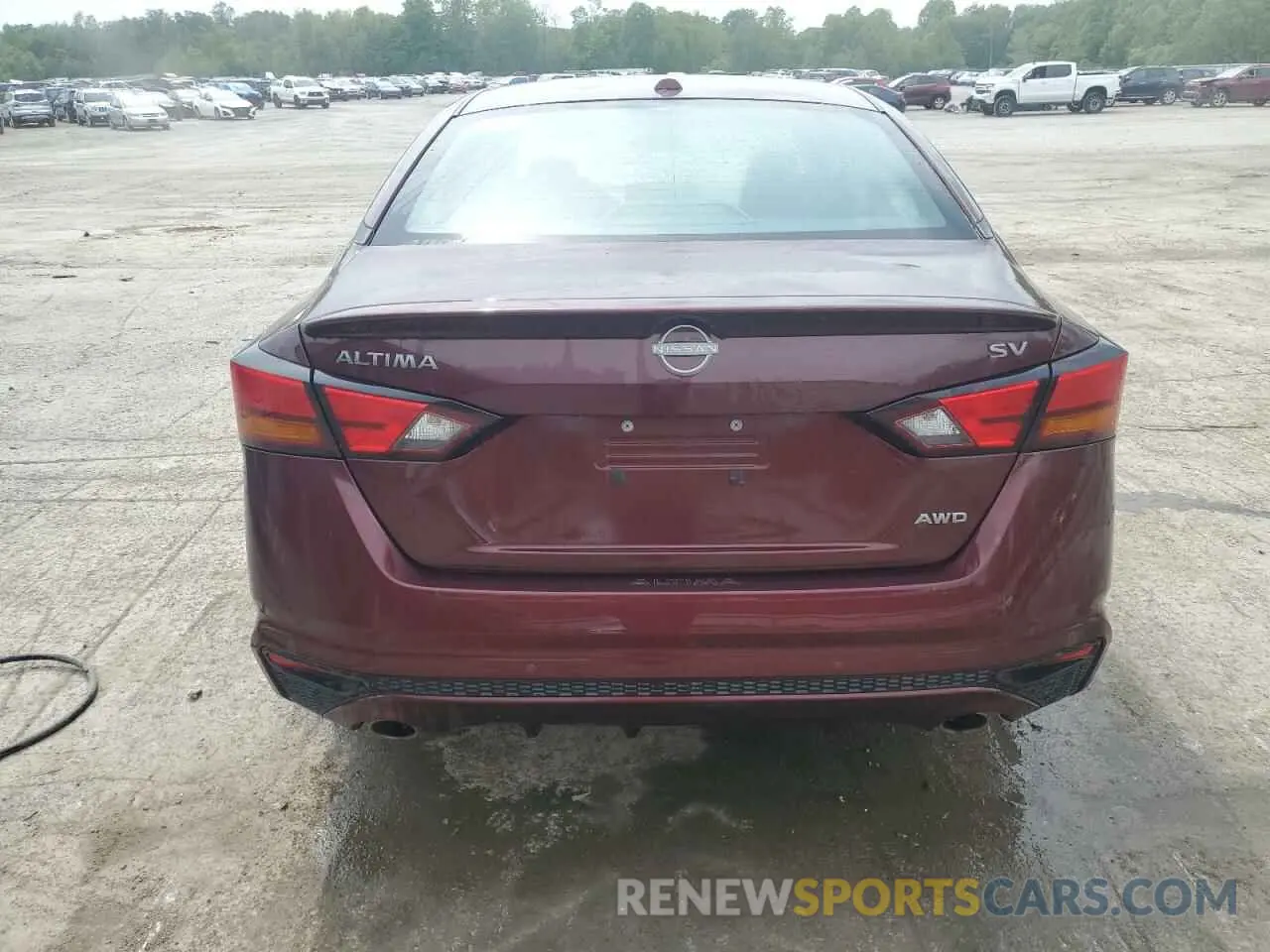 6 Photograph of a damaged car 1N4BL4DW9RN345006 NISSAN ALTIMA 2024