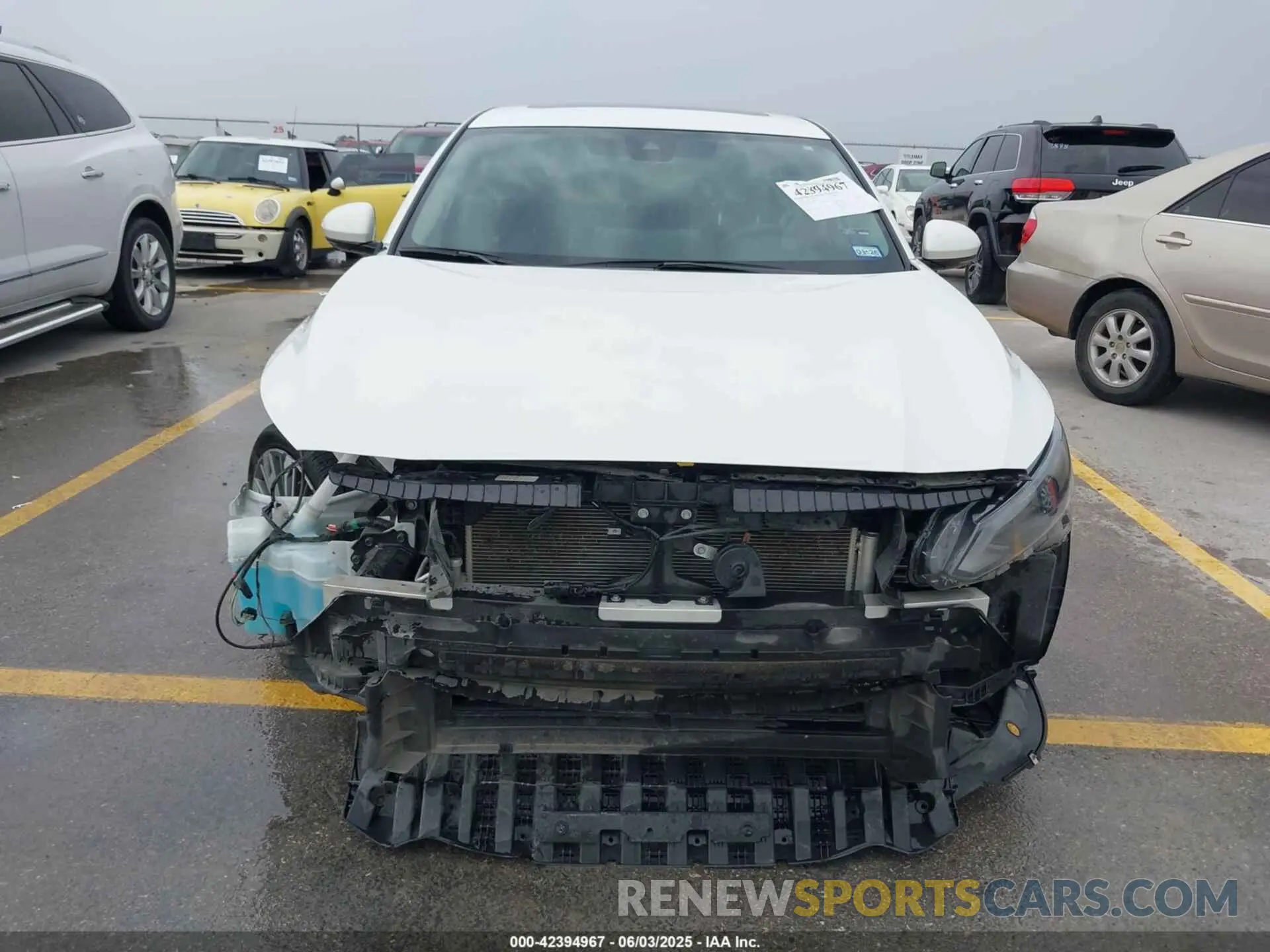 6 Photograph of a damaged car 1N4BL4EV3RN315604 NISSAN ALTIMA 2024
