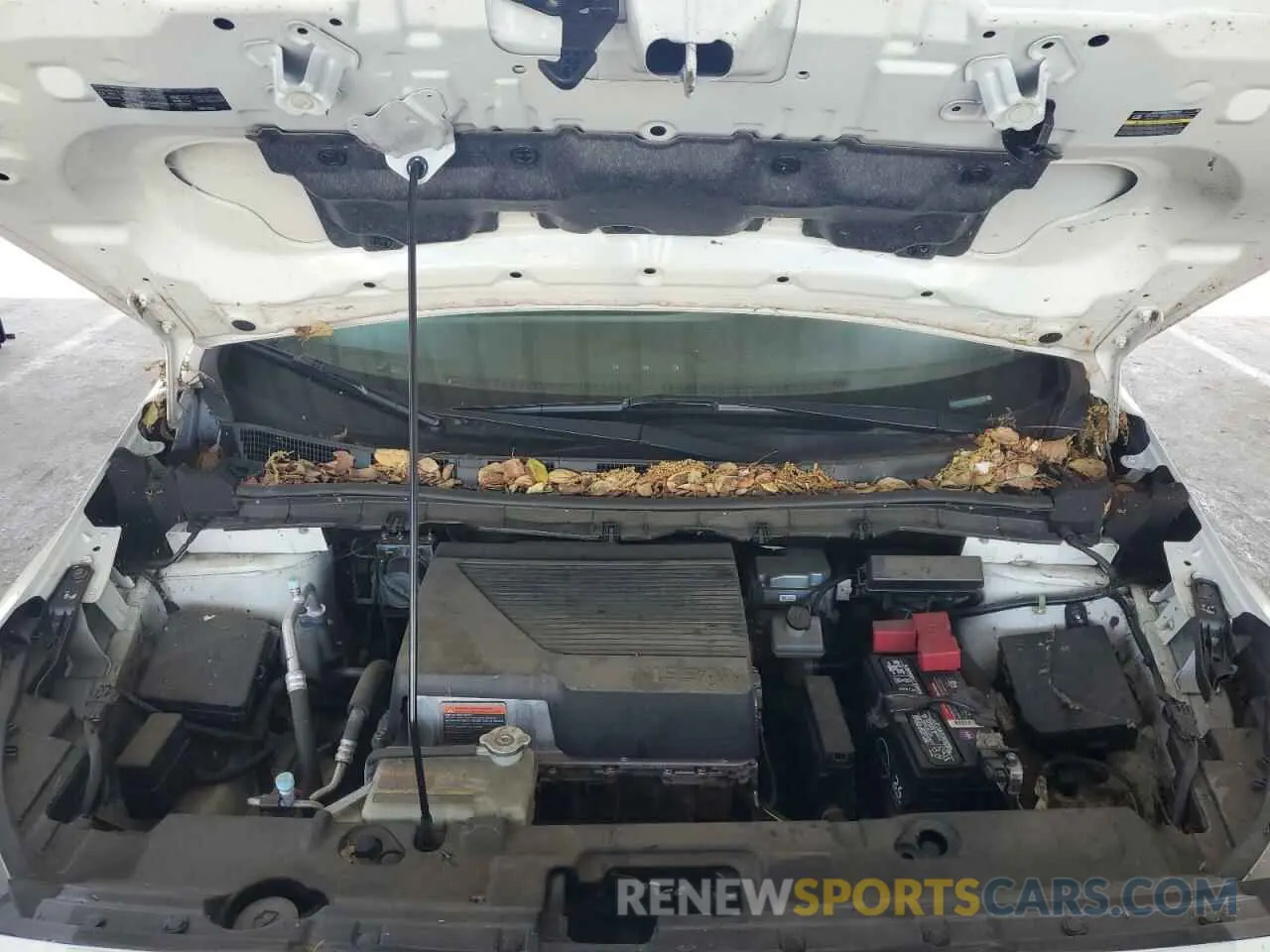 11 Photograph of a damaged car 1N4AZ1CP1KC306317 NISSAN LEAF 2019
