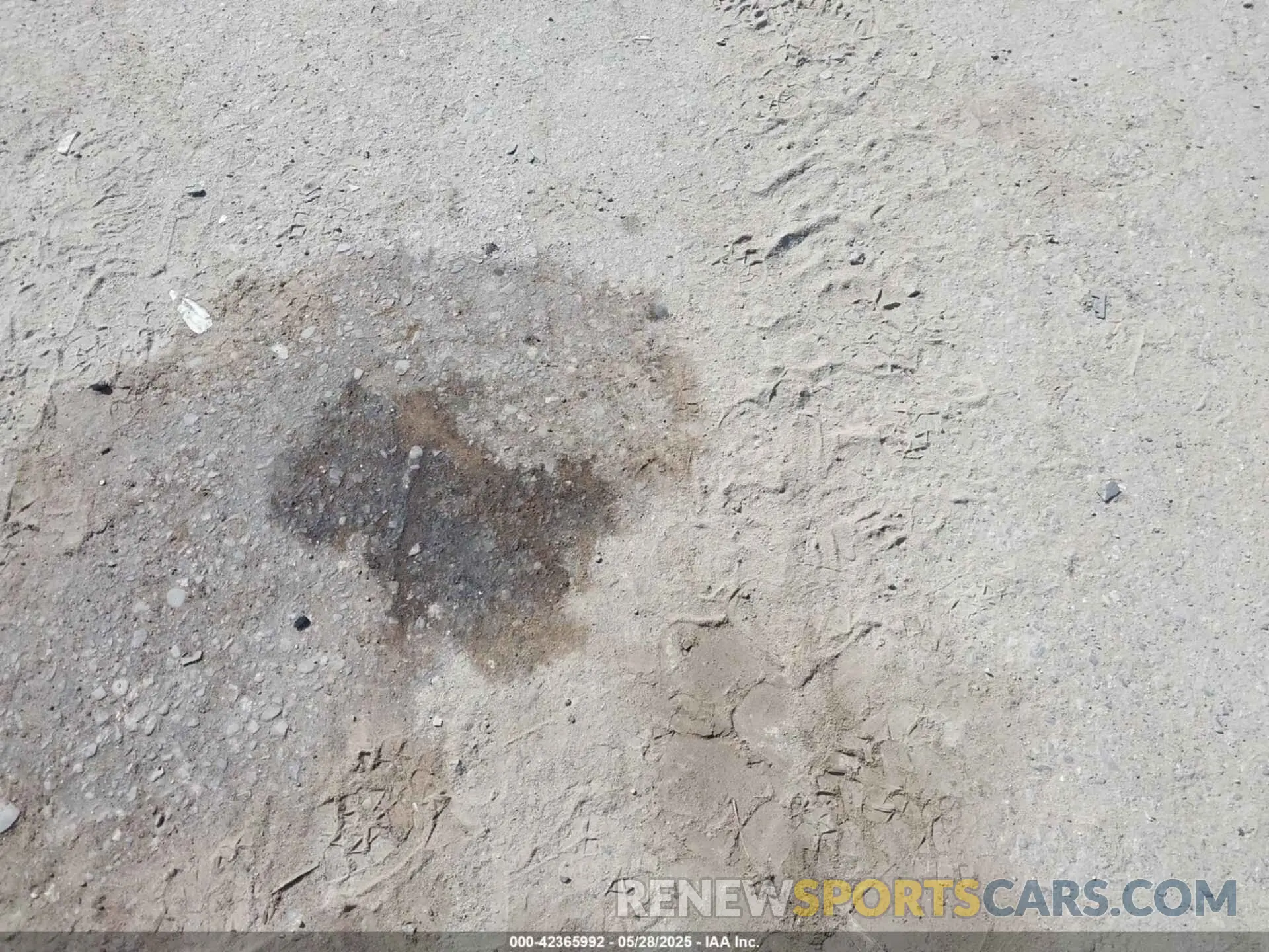 12 Photograph of a damaged car 1N4AZ1CP9KC308428 NISSAN LEAF 2019