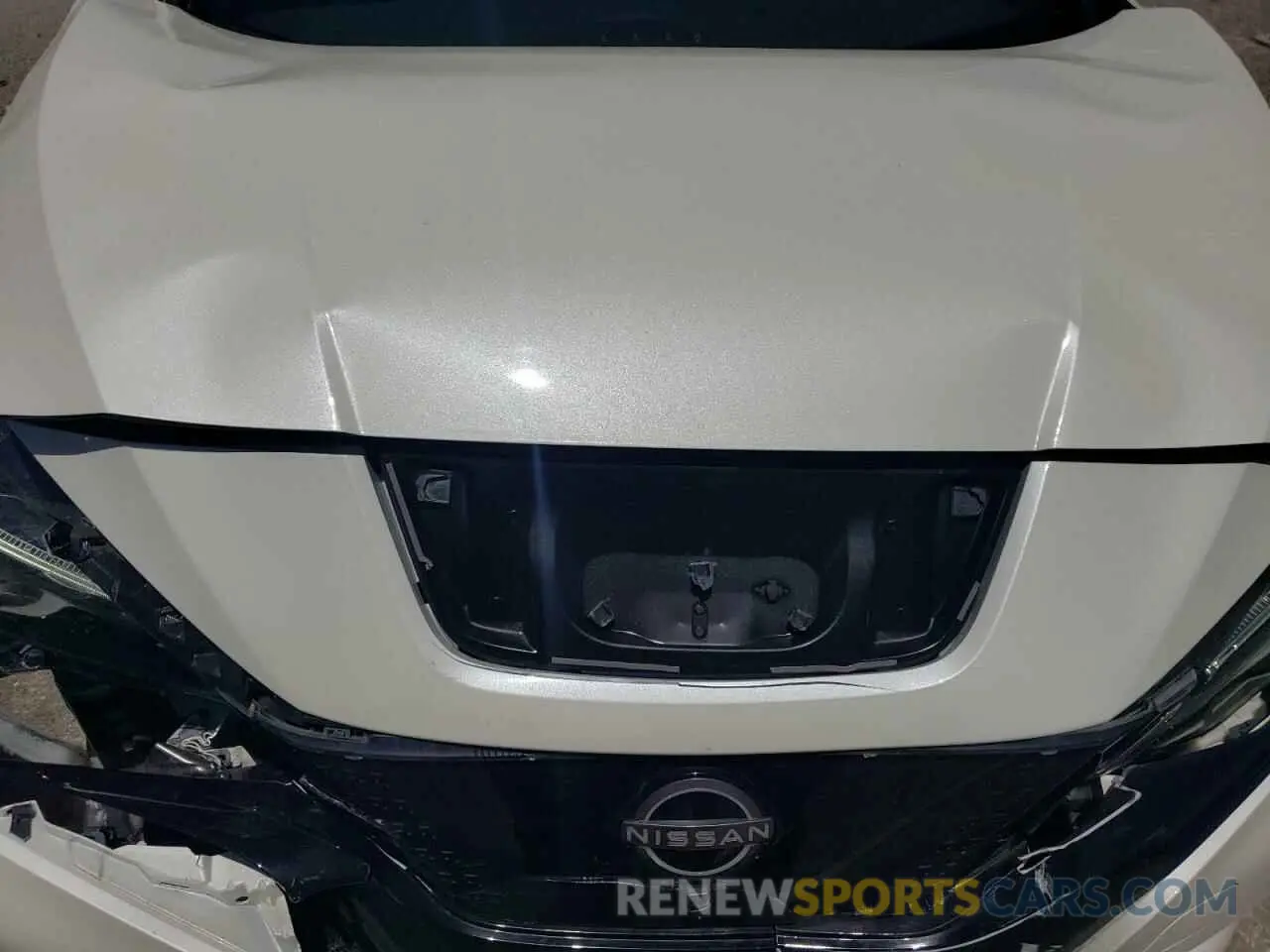 11 Photograph of a damaged car 1N4CZ1CV0PC557151 NISSAN LEAF 2023
