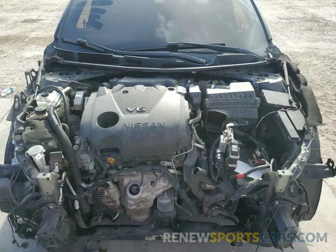 12 Photograph of a damaged car 1N4AA6AV0KC361606 NISSAN MAXIMA 2019