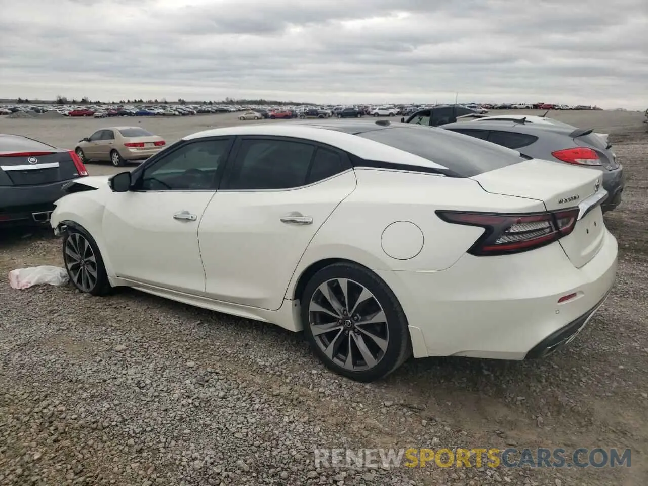 2 Photograph of a damaged car 1N4AA6AV0KC363601 NISSAN MAXIMA 2019