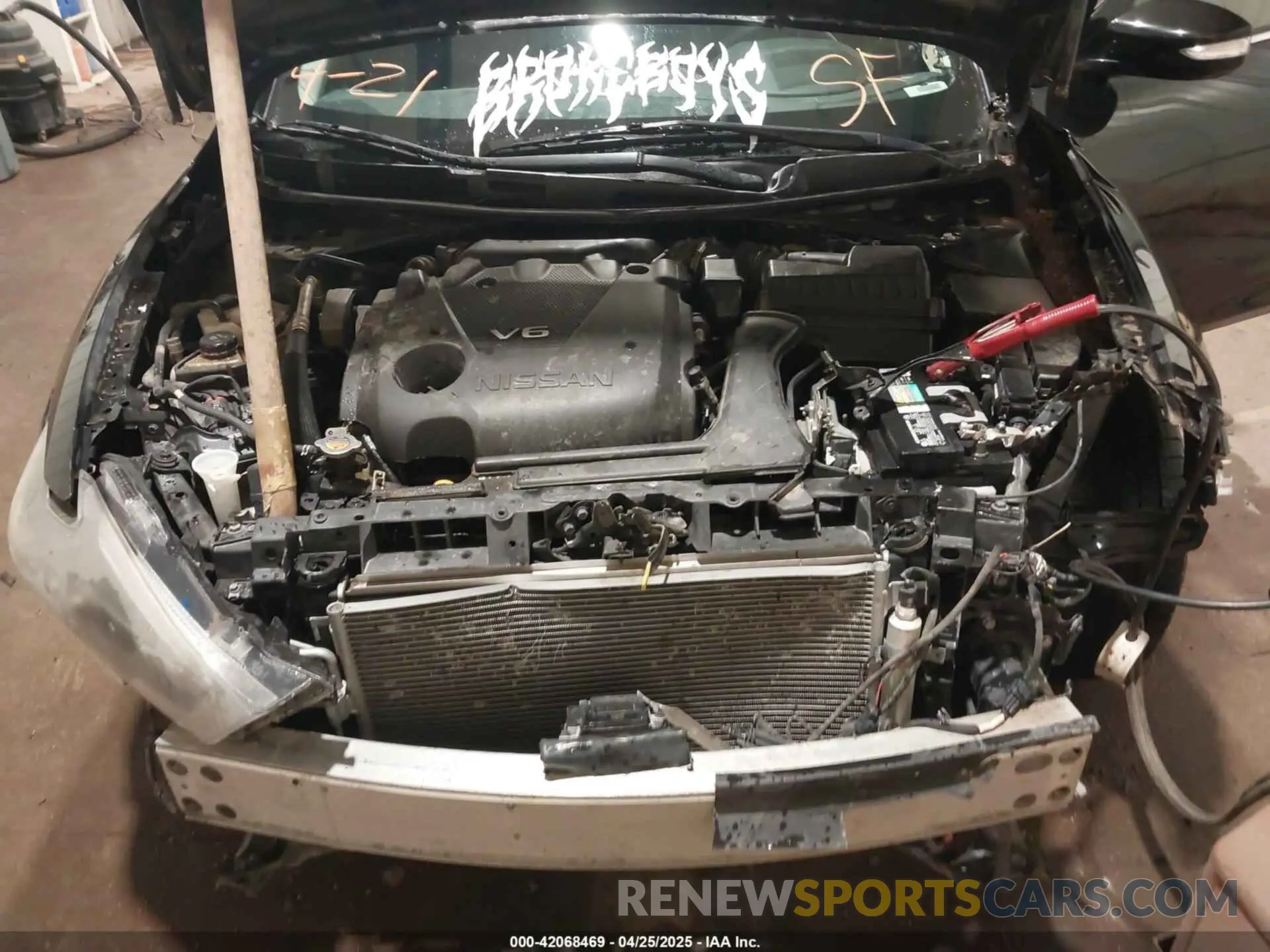 10 Photograph of a damaged car 1N4AA6AV0KC366322 NISSAN MAXIMA 2019