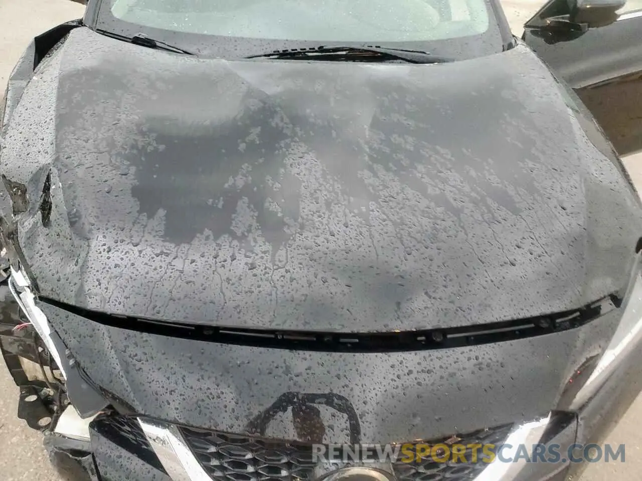 11 Photograph of a damaged car 1N4AA6AV0KC370273 NISSAN MAXIMA 2019