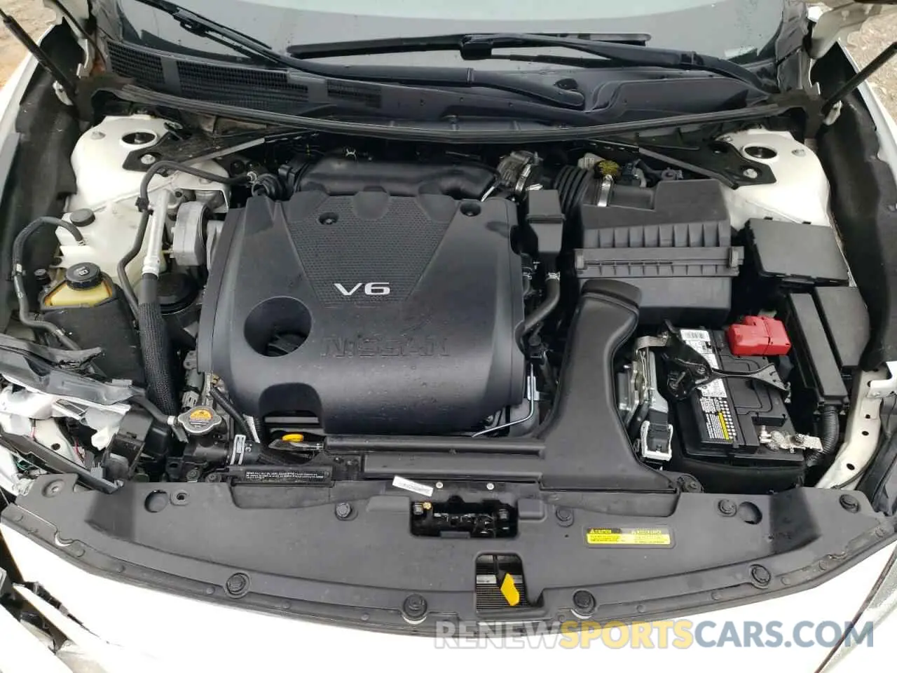 11 Photograph of a damaged car 1N4AA6AV0KC374128 NISSAN MAXIMA 2019