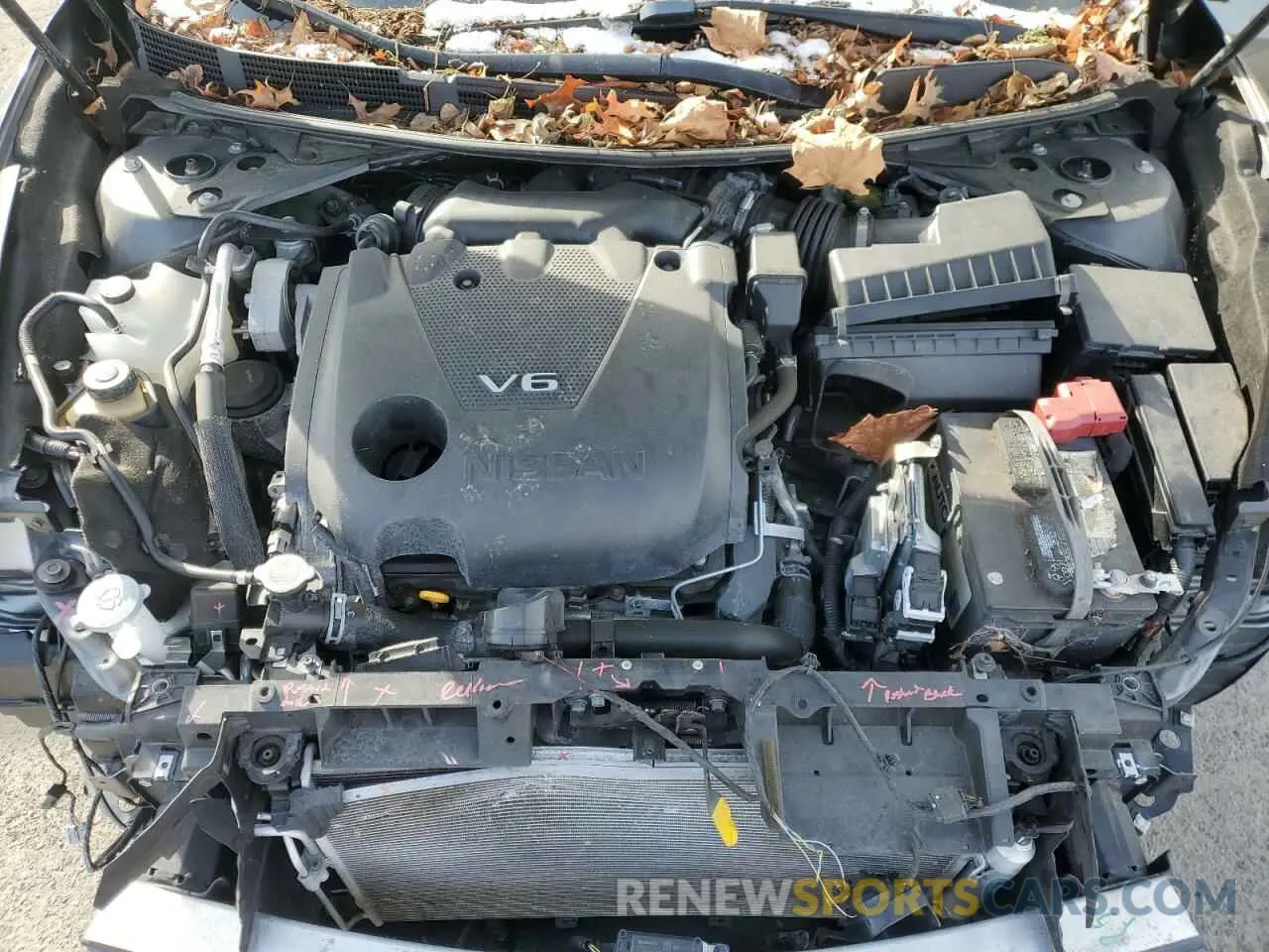 11 Photograph of a damaged car 1N4AA6AV0KC374534 NISSAN MAXIMA 2019