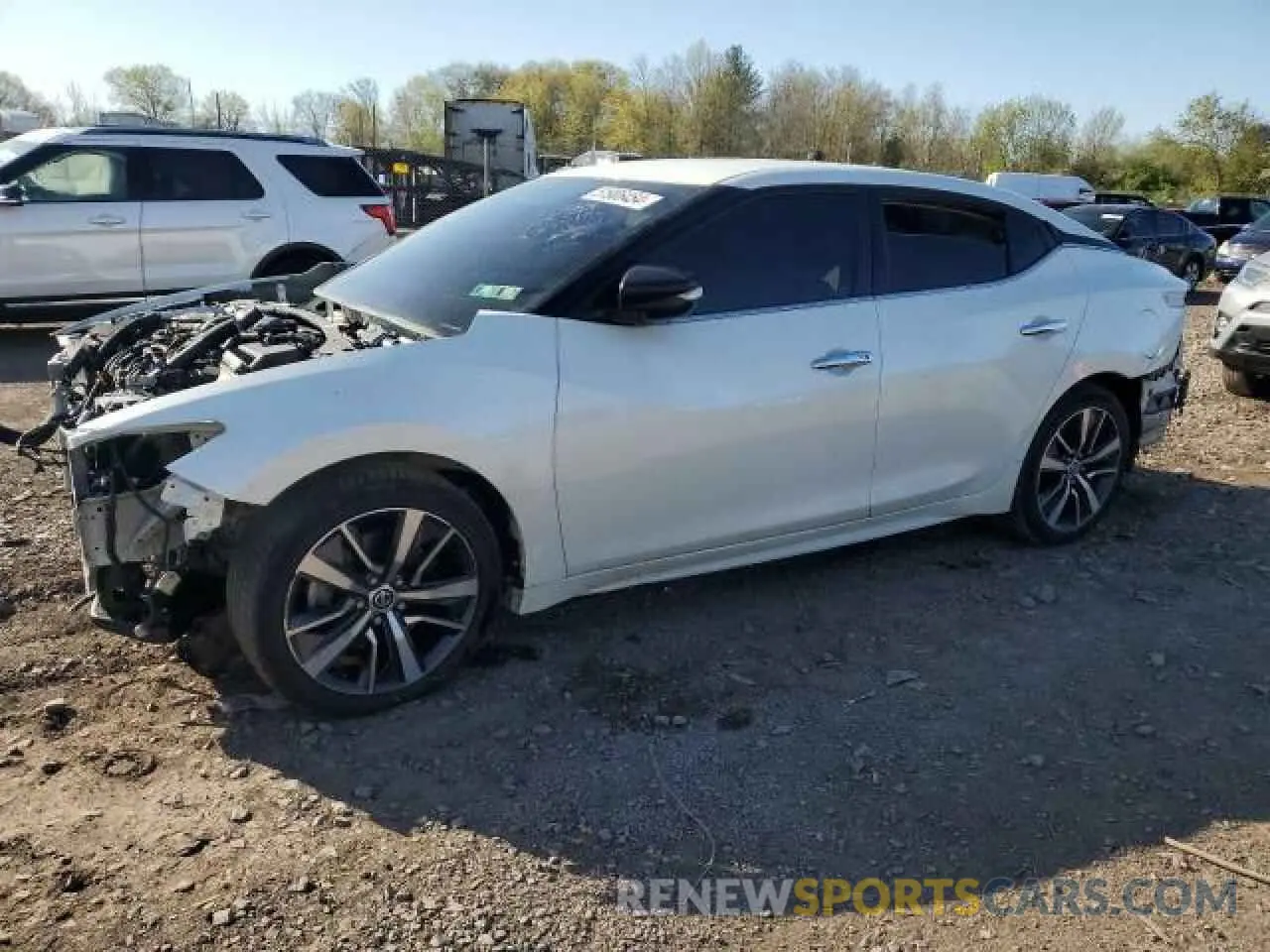 1 Photograph of a damaged car 1N4AA6AV0KC375361 NISSAN MAXIMA 2019