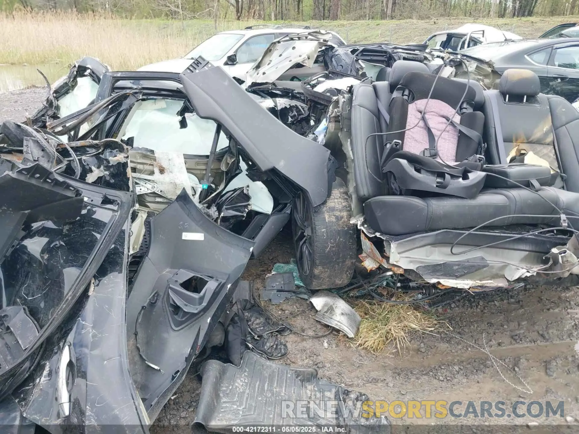 11 Photograph of a damaged car 1N4AA6AV0KC377059 NISSAN MAXIMA 2019
