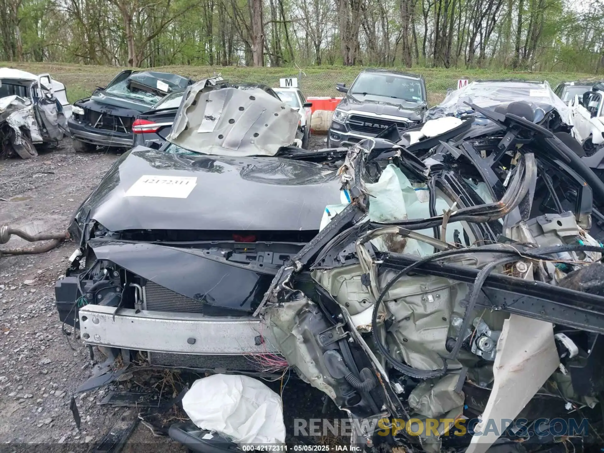 12 Photograph of a damaged car 1N4AA6AV0KC377059 NISSAN MAXIMA 2019