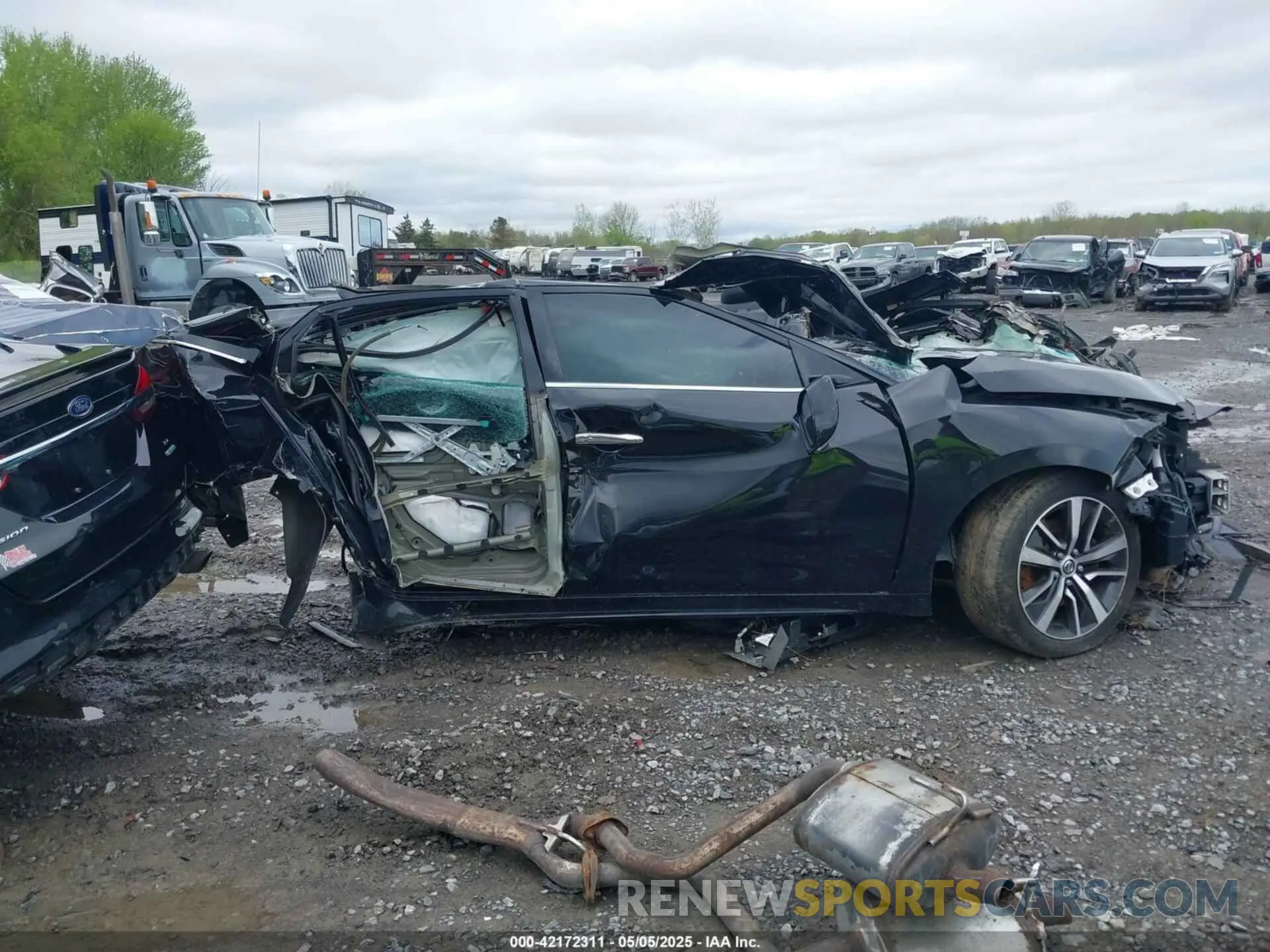 13 Photograph of a damaged car 1N4AA6AV0KC377059 NISSAN MAXIMA 2019