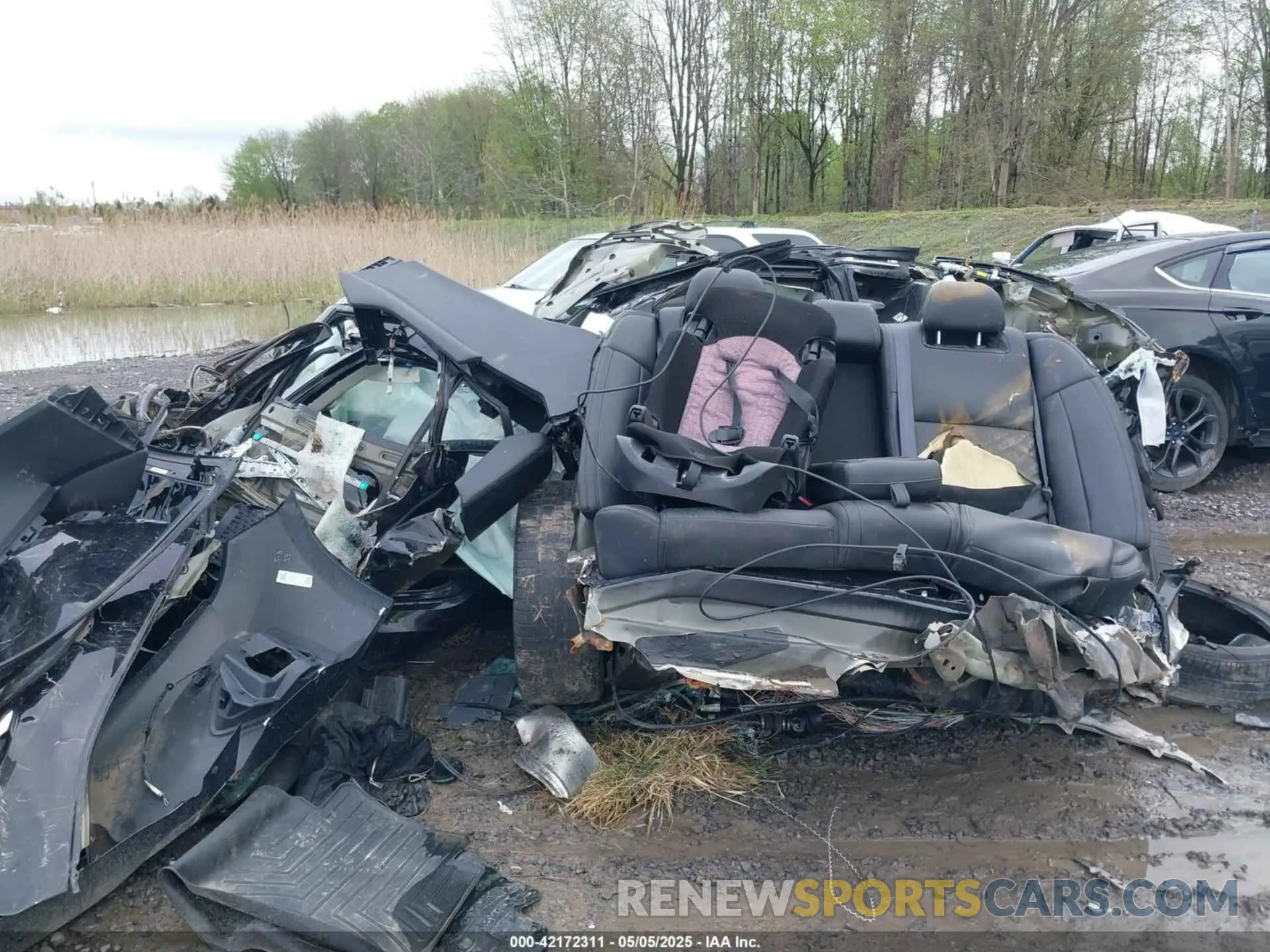 14 Photograph of a damaged car 1N4AA6AV0KC377059 NISSAN MAXIMA 2019