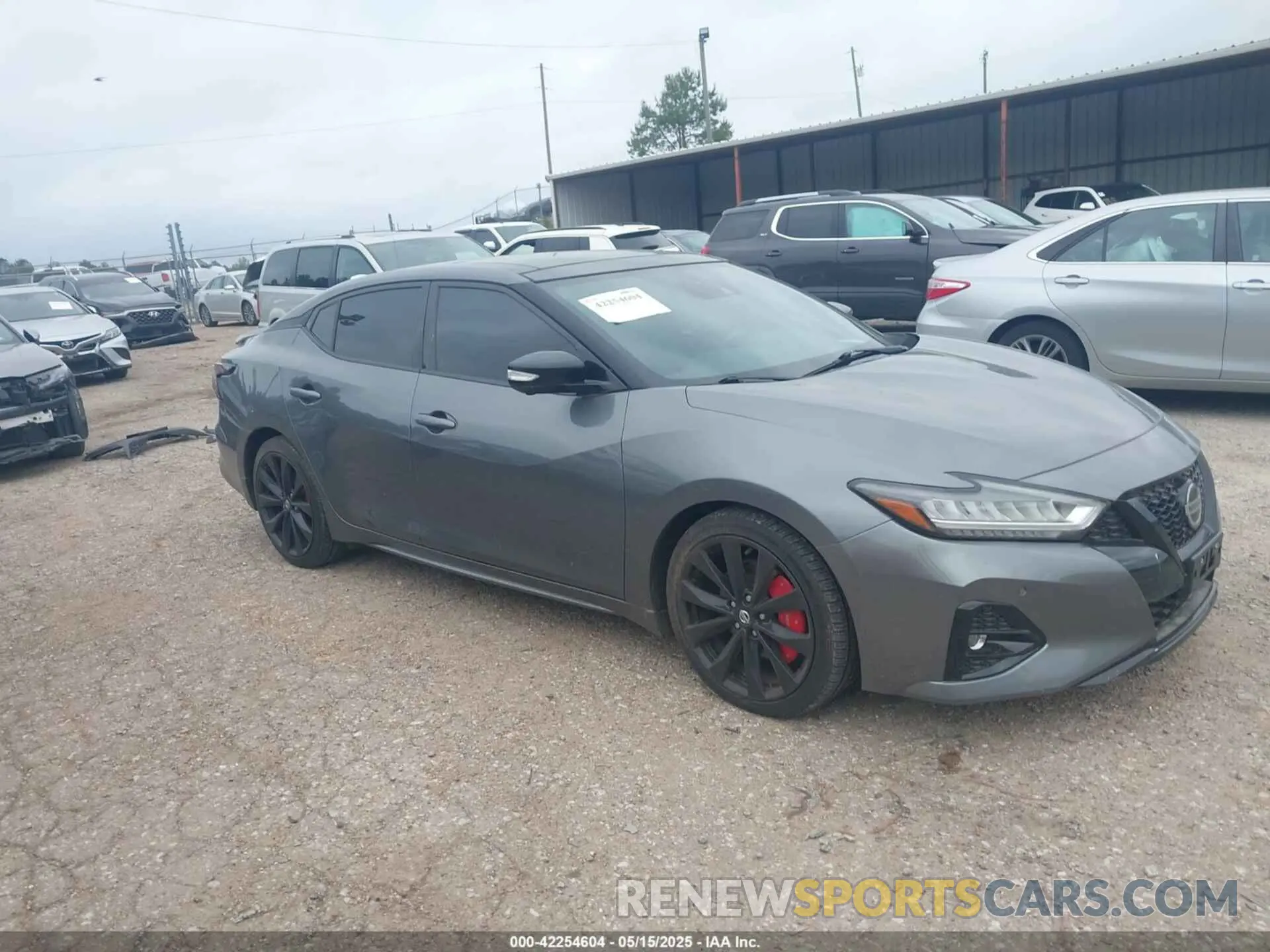 1 Photograph of a damaged car 1N4AA6AV0KC377062 NISSAN MAXIMA 2019
