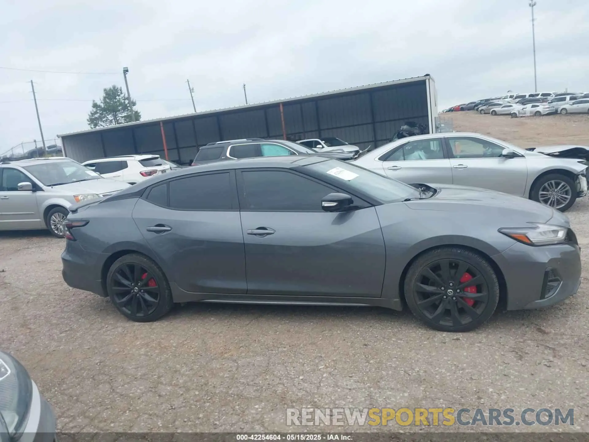 14 Photograph of a damaged car 1N4AA6AV0KC377062 NISSAN MAXIMA 2019