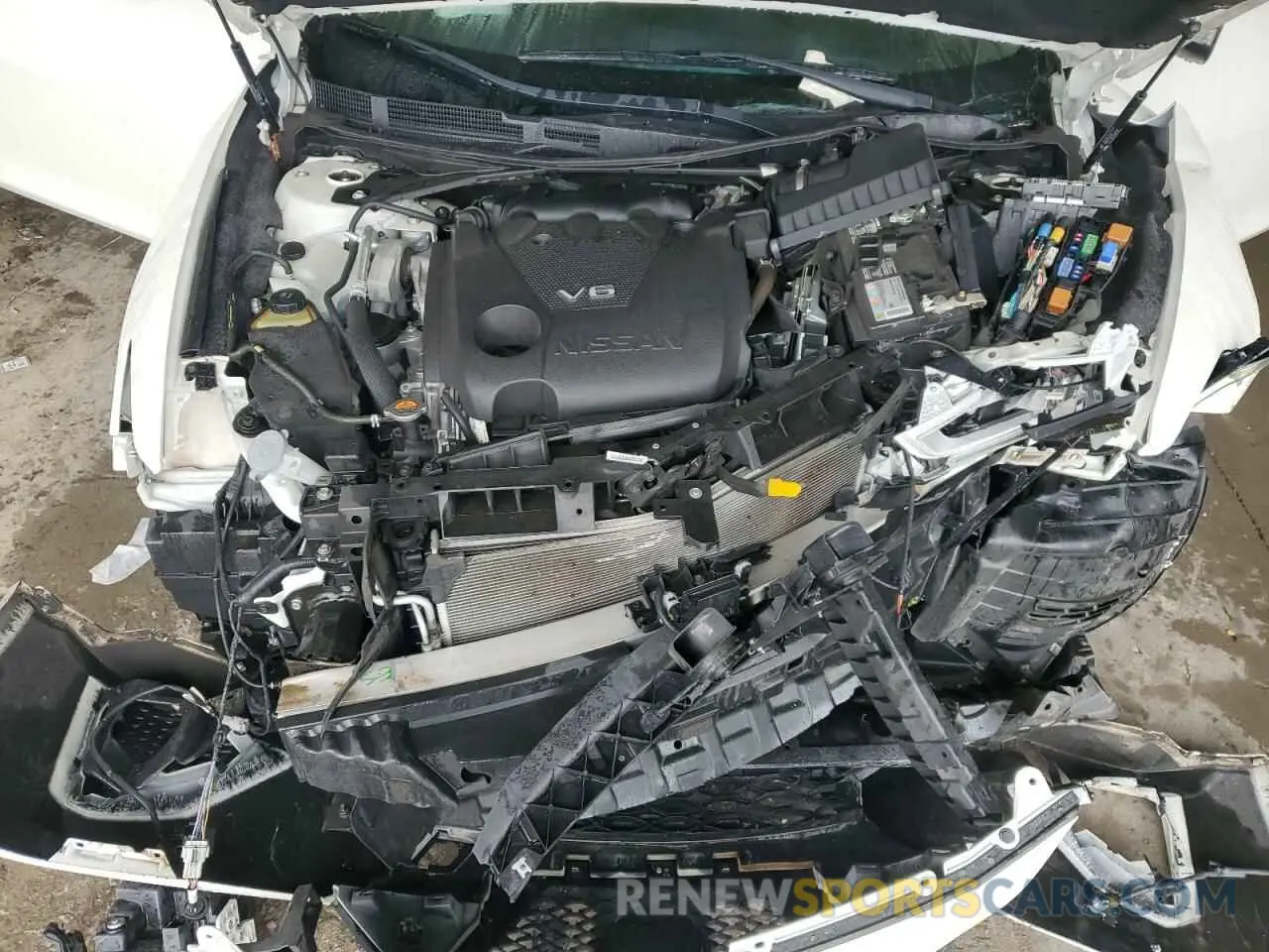 11 Photograph of a damaged car 1N4AA6AV0KC378681 NISSAN MAXIMA 2019