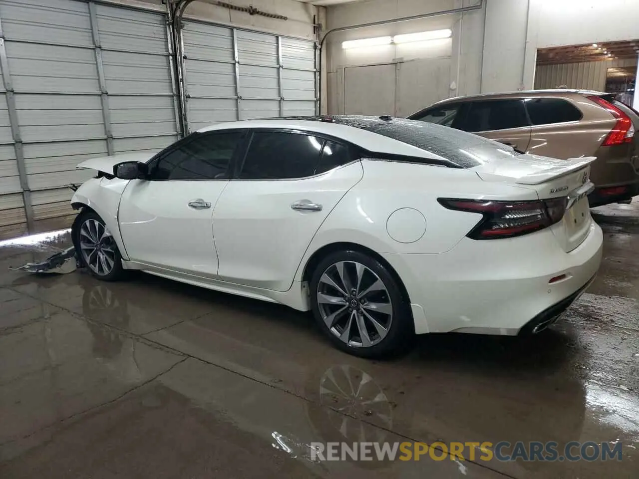 2 Photograph of a damaged car 1N4AA6AV0KC378681 NISSAN MAXIMA 2019