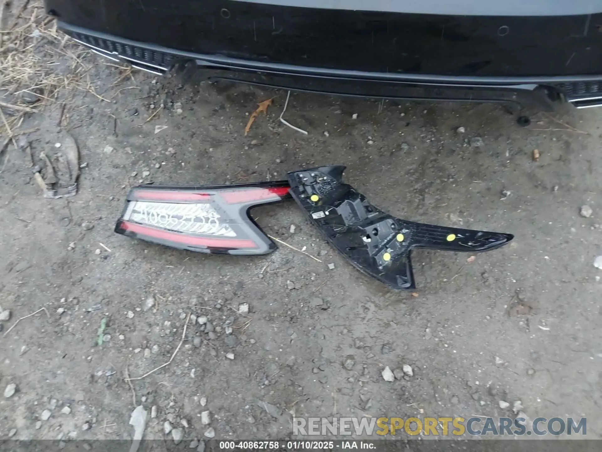 12 Photograph of a damaged car 1N4AA6AV0KC379524 NISSAN MAXIMA 2019