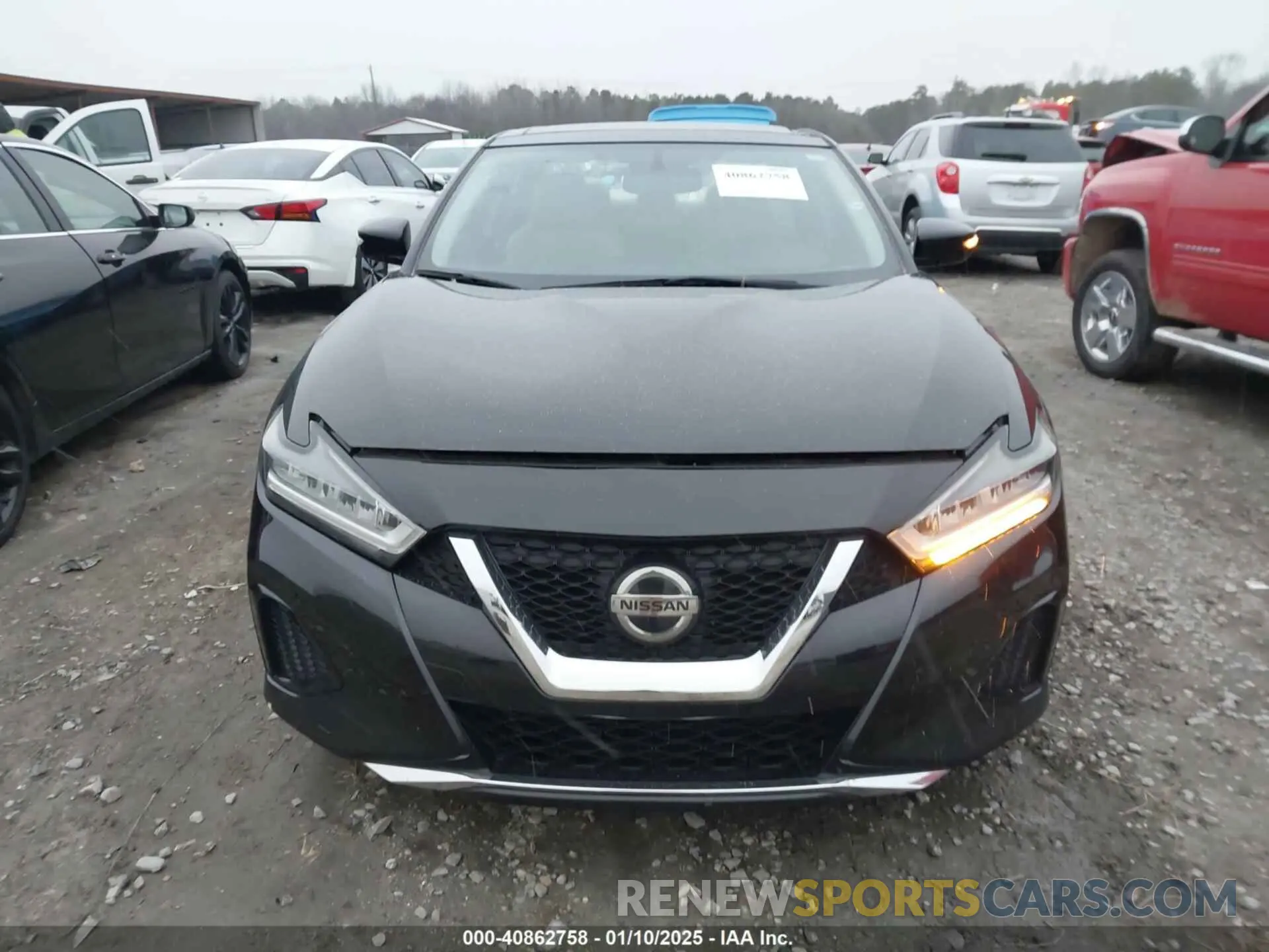 13 Photograph of a damaged car 1N4AA6AV0KC379524 NISSAN MAXIMA 2019