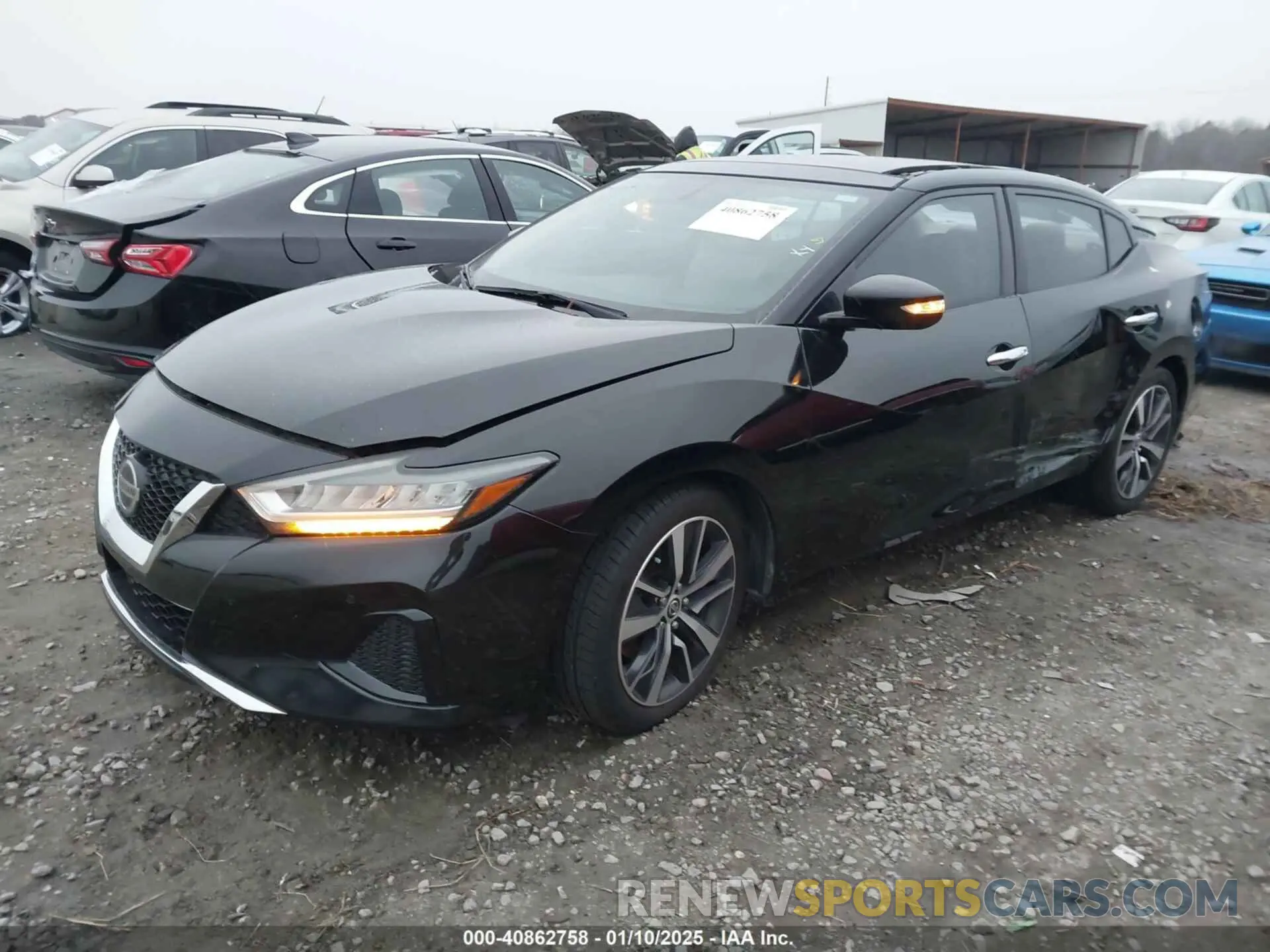 2 Photograph of a damaged car 1N4AA6AV0KC379524 NISSAN MAXIMA 2019