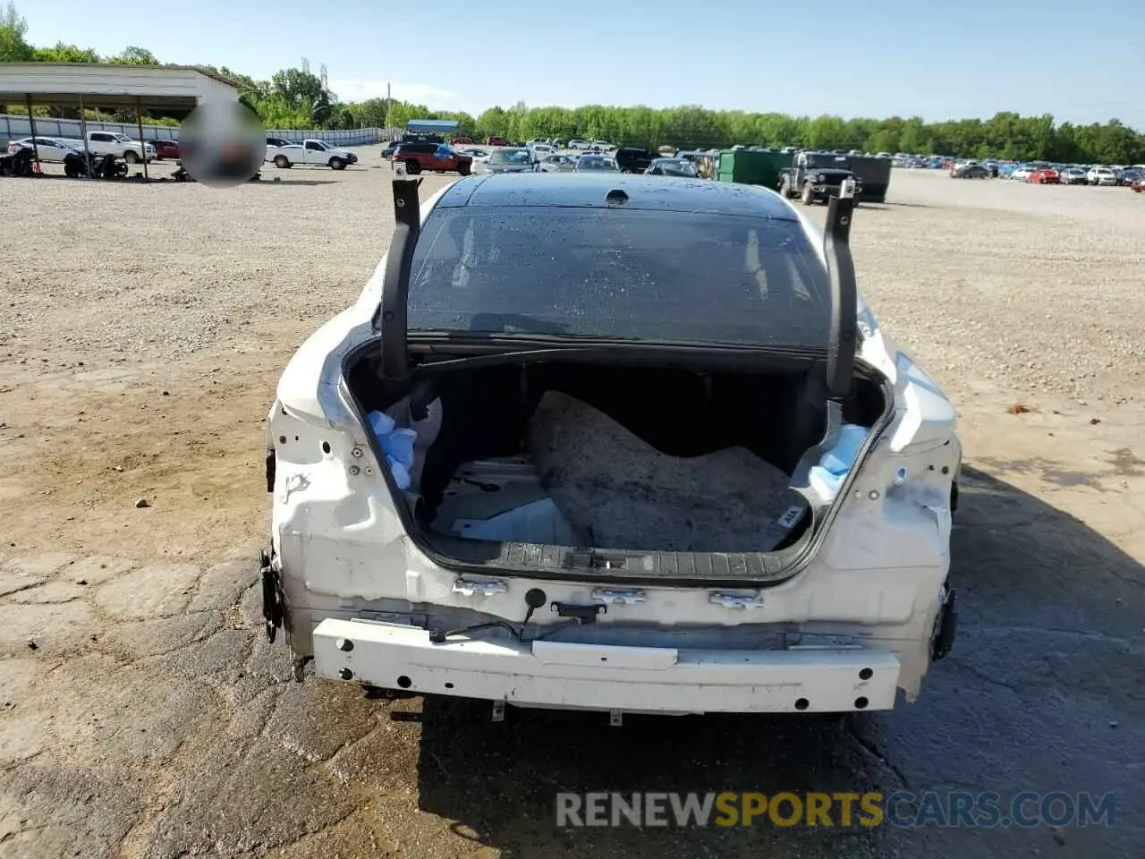 6 Photograph of a damaged car 1N4AA6AV0KC384836 NISSAN MAXIMA 2019