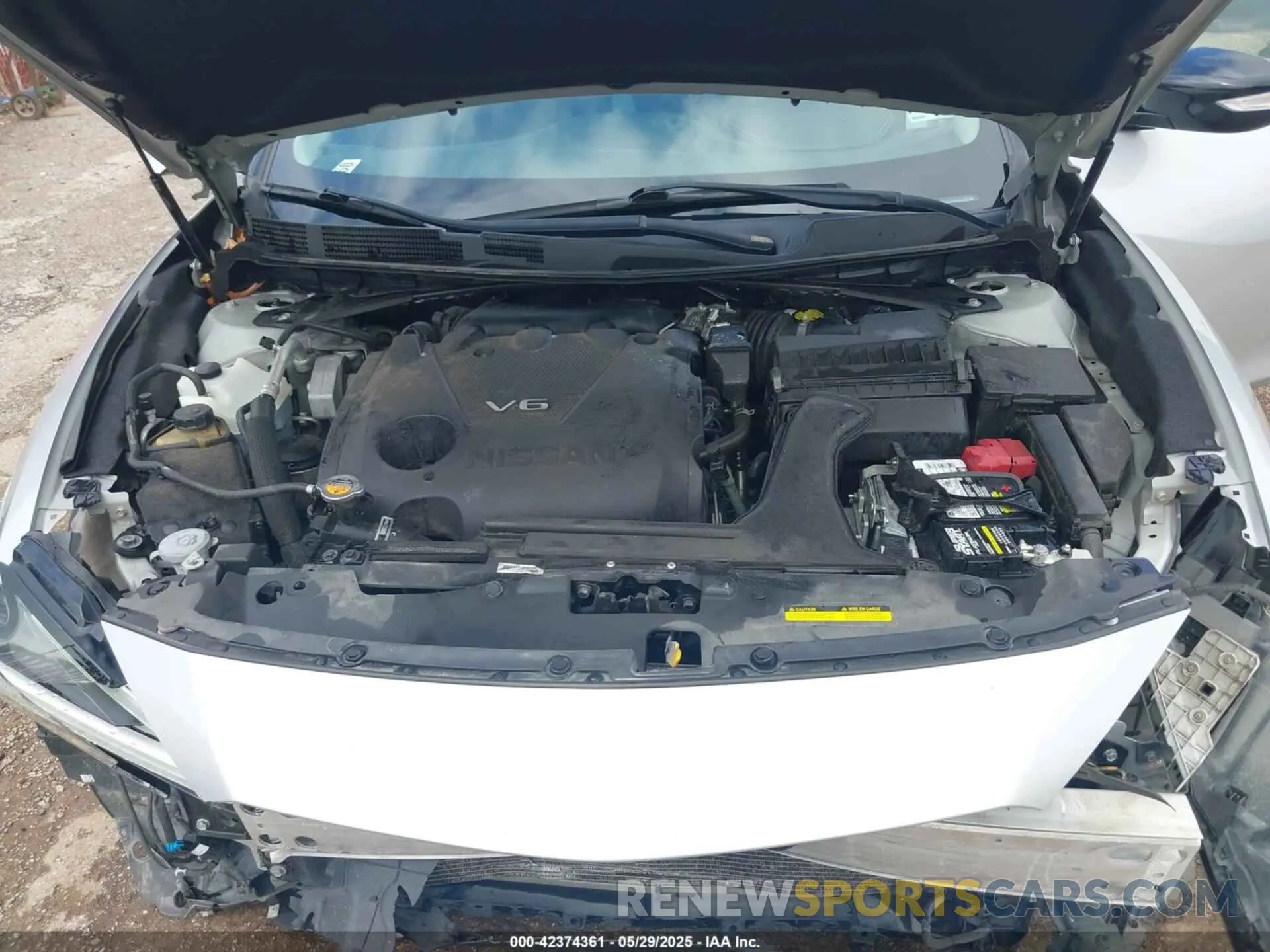 10 Photograph of a damaged car 1N4AA6AV1KC361453 NISSAN MAXIMA 2019