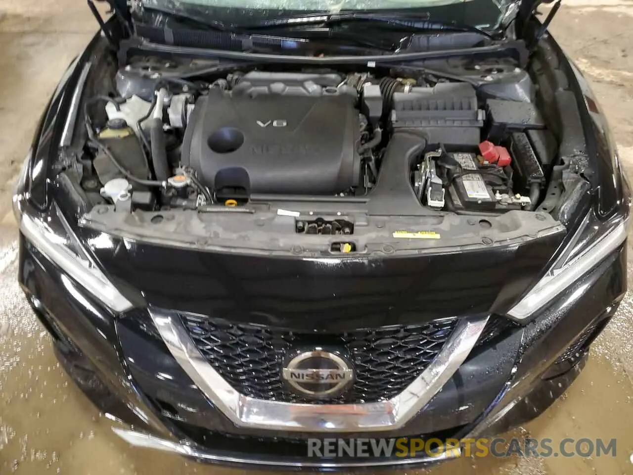 11 Photograph of a damaged car 1N4AA6AV1KC361758 NISSAN MAXIMA 2019