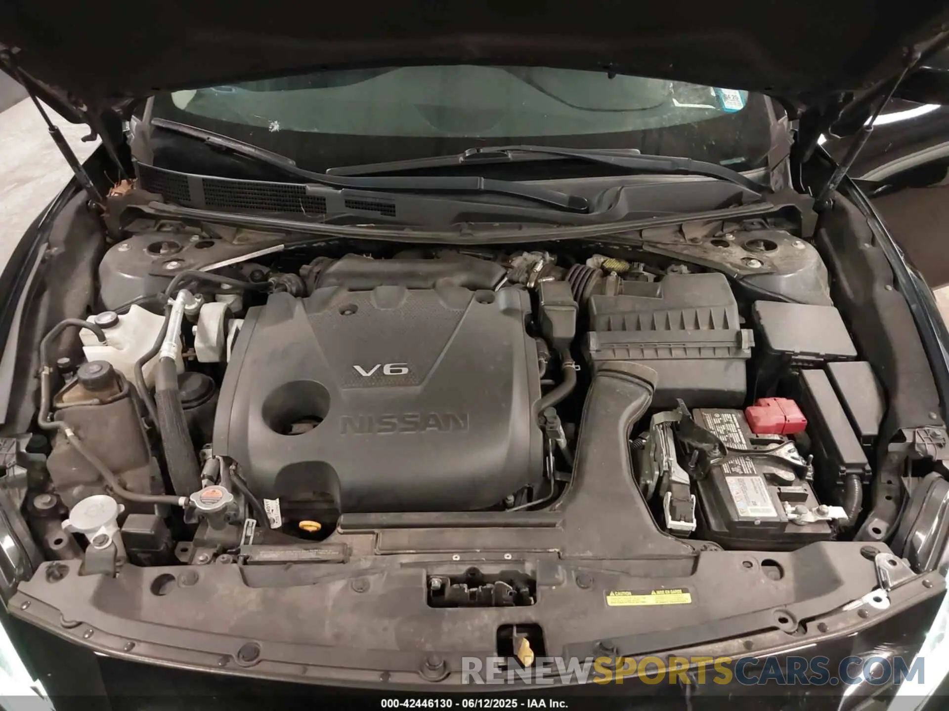 10 Photograph of a damaged car 1N4AA6AV1KC375806 NISSAN MAXIMA 2019