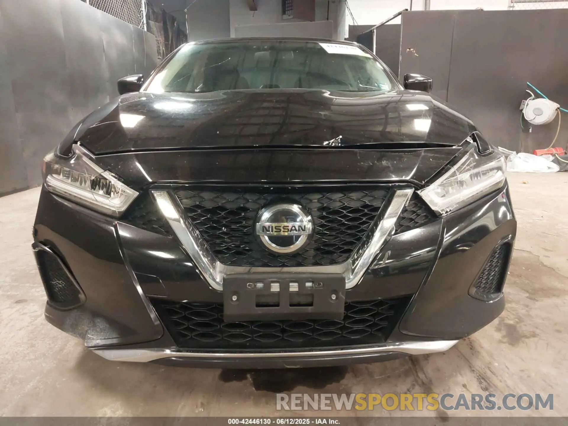 12 Photograph of a damaged car 1N4AA6AV1KC375806 NISSAN MAXIMA 2019