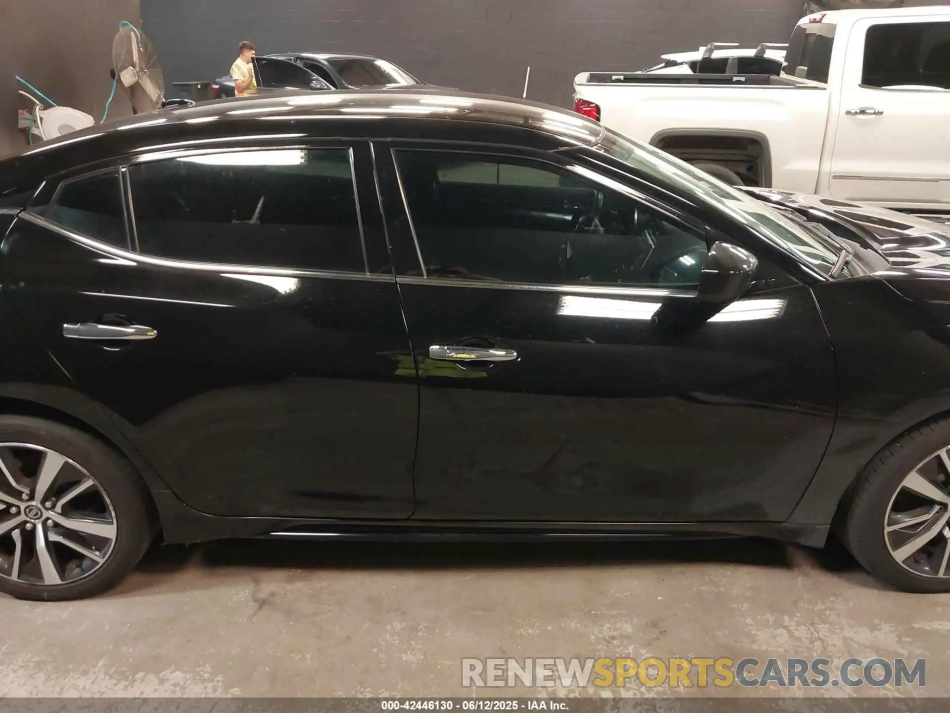 13 Photograph of a damaged car 1N4AA6AV1KC375806 NISSAN MAXIMA 2019