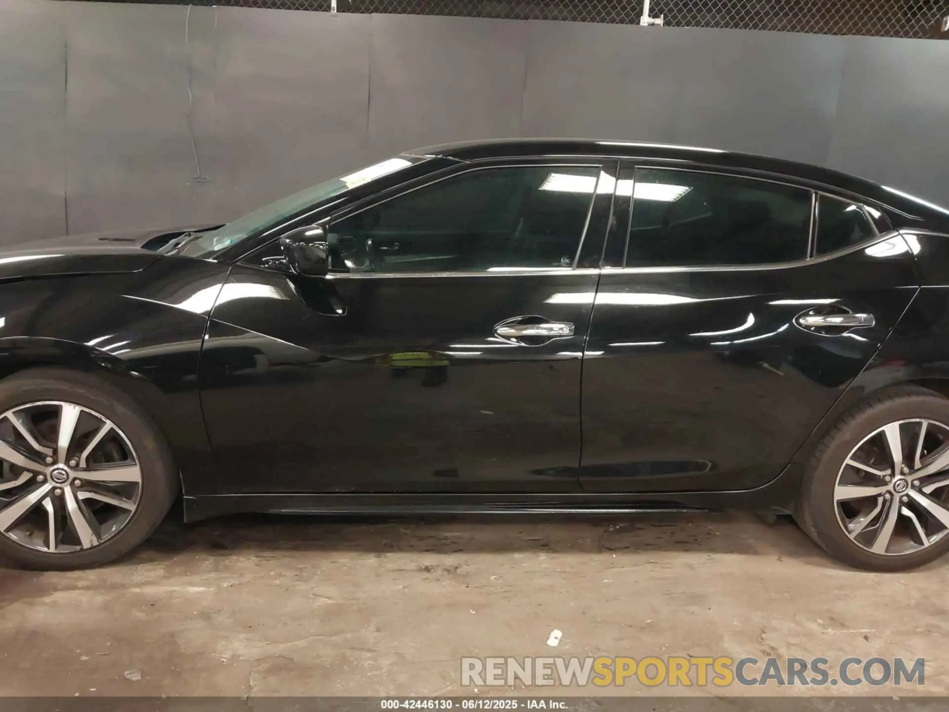 14 Photograph of a damaged car 1N4AA6AV1KC375806 NISSAN MAXIMA 2019