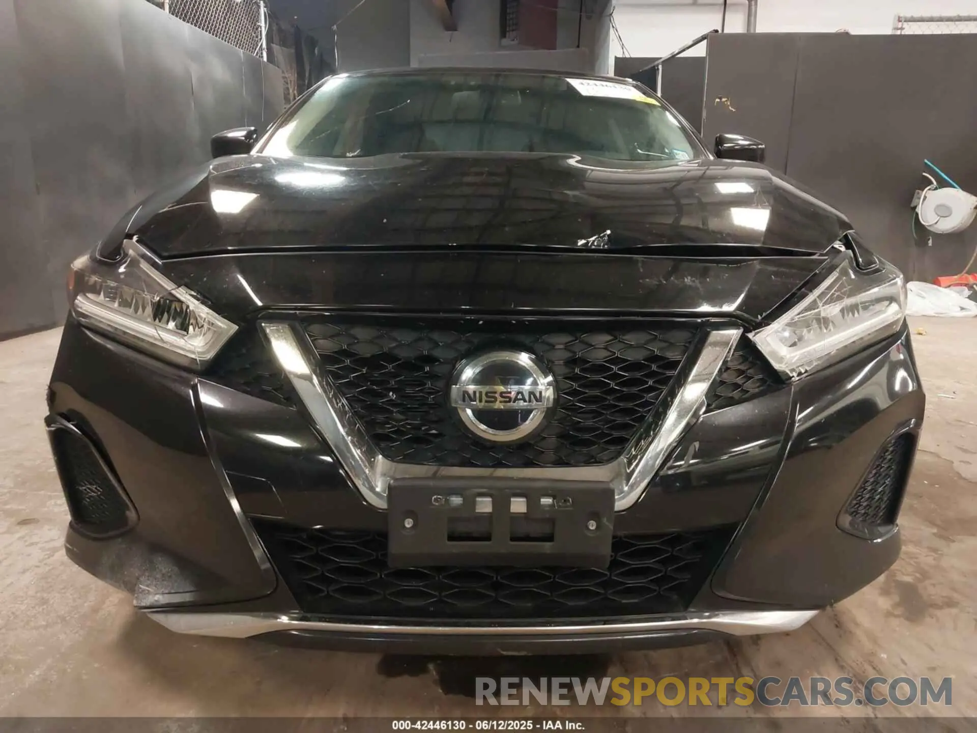 6 Photograph of a damaged car 1N4AA6AV1KC375806 NISSAN MAXIMA 2019