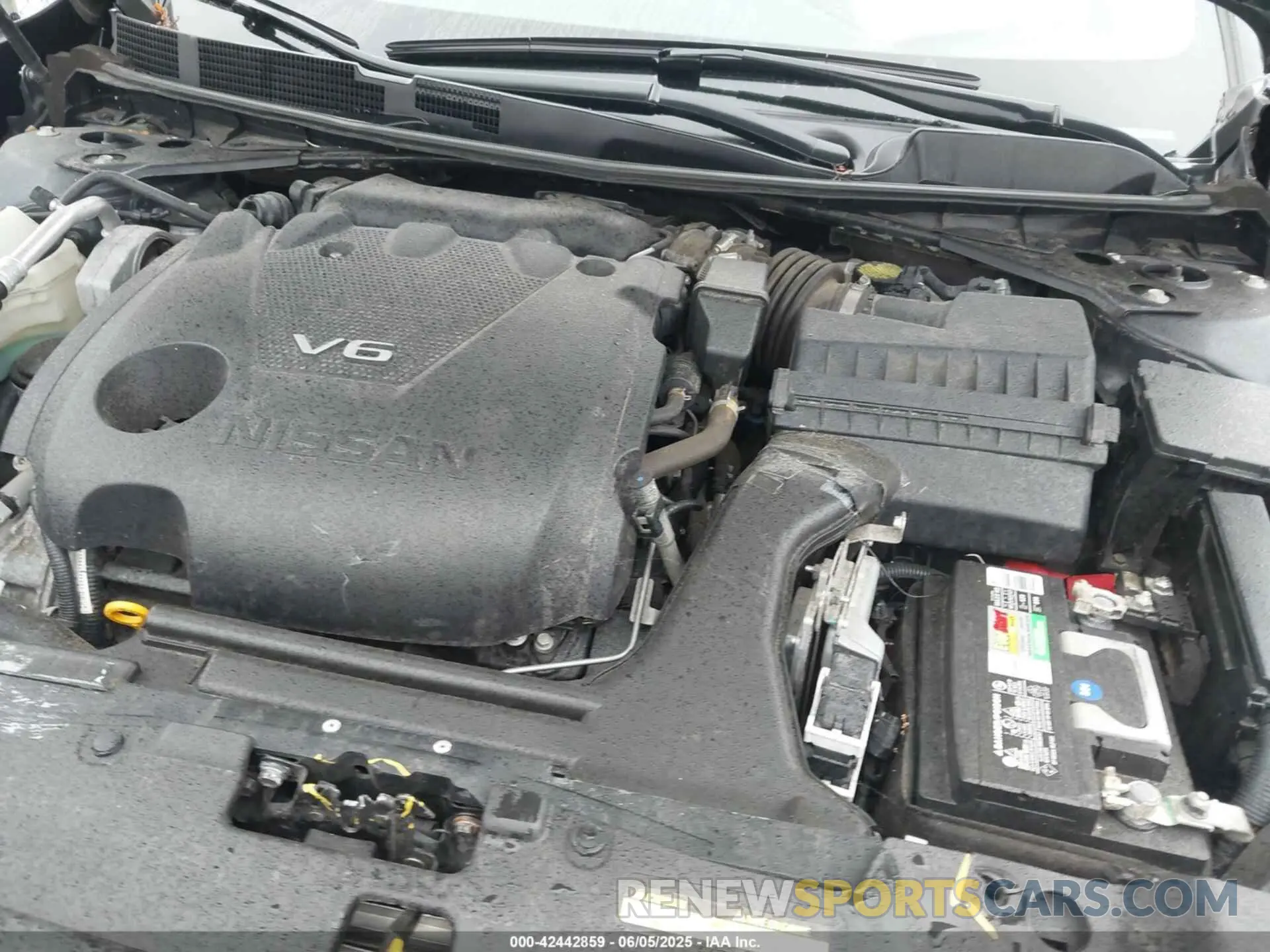 10 Photograph of a damaged car 1N4AA6AV1KC379113 NISSAN MAXIMA 2019