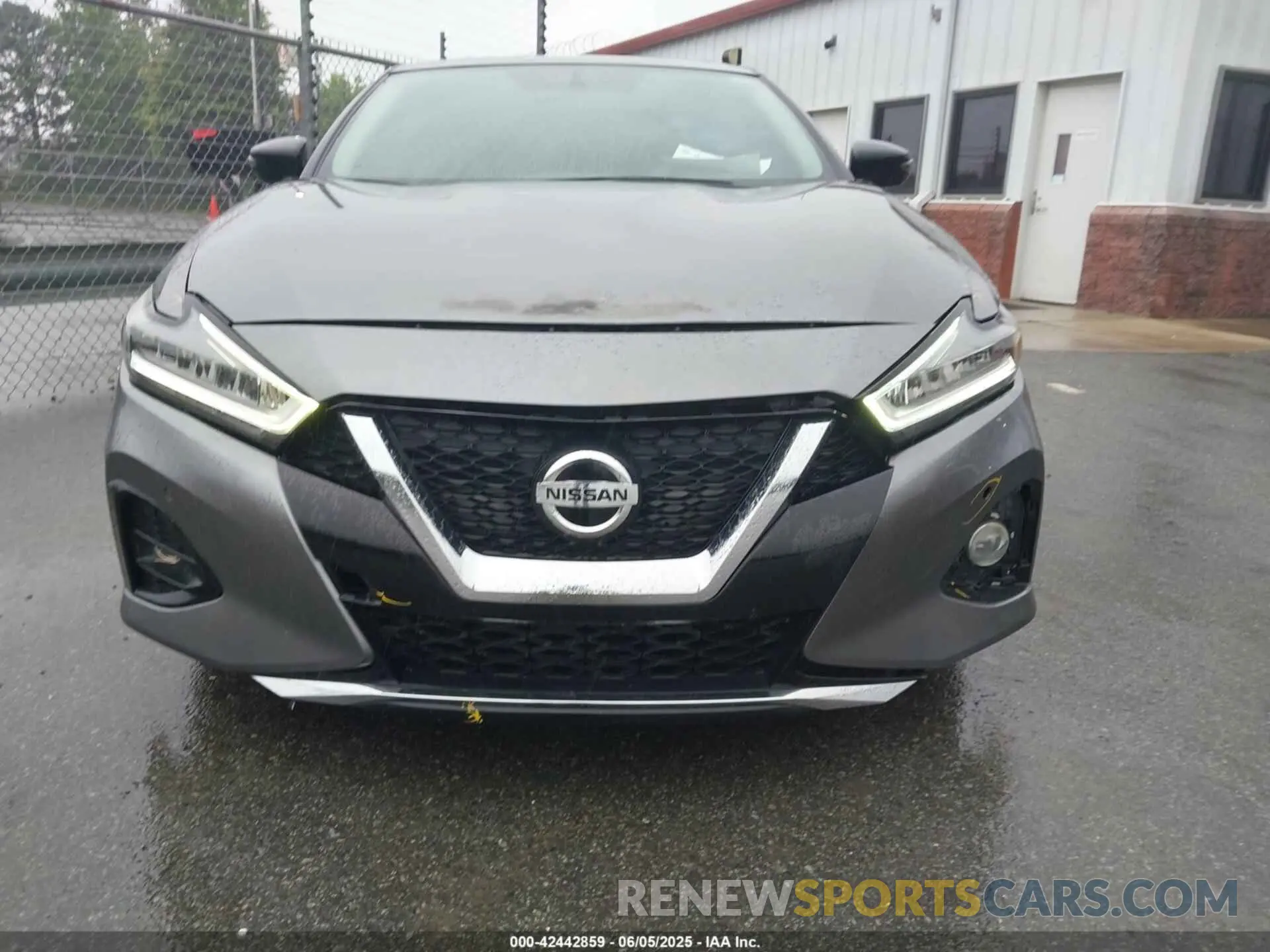 12 Photograph of a damaged car 1N4AA6AV1KC379113 NISSAN MAXIMA 2019