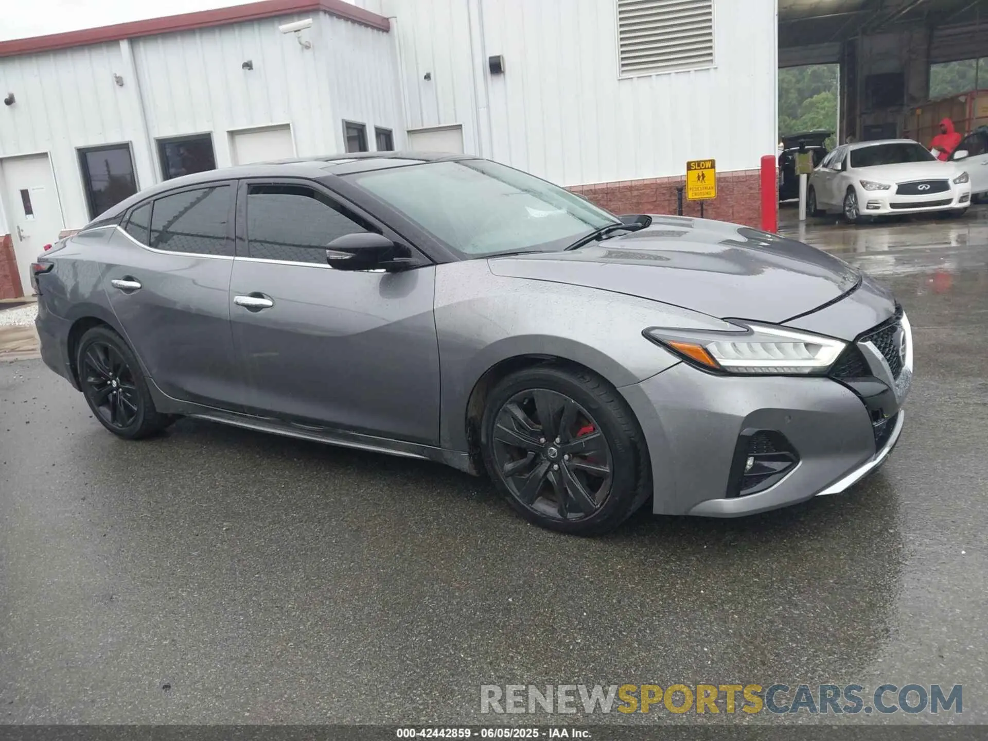 13 Photograph of a damaged car 1N4AA6AV1KC379113 NISSAN MAXIMA 2019