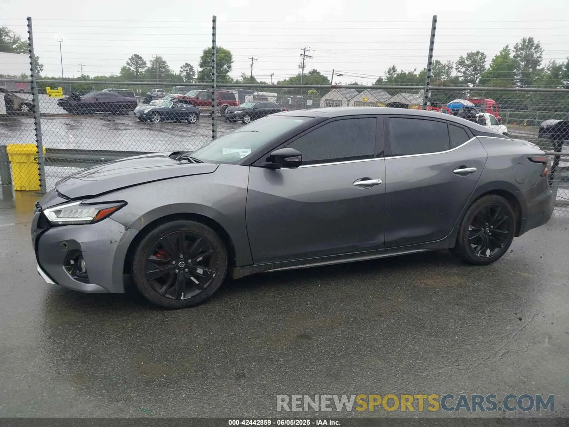 14 Photograph of a damaged car 1N4AA6AV1KC379113 NISSAN MAXIMA 2019