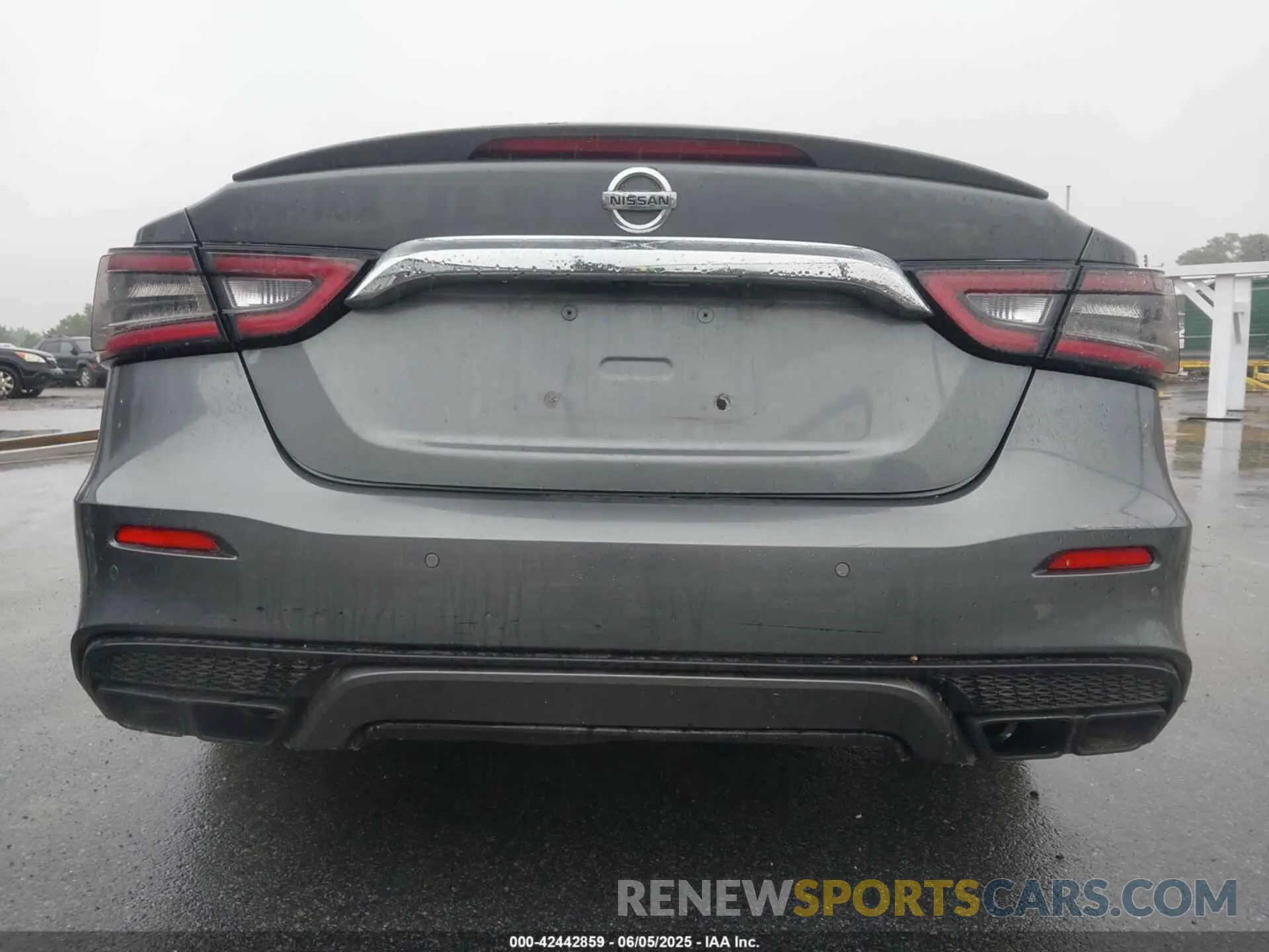 16 Photograph of a damaged car 1N4AA6AV1KC379113 NISSAN MAXIMA 2019
