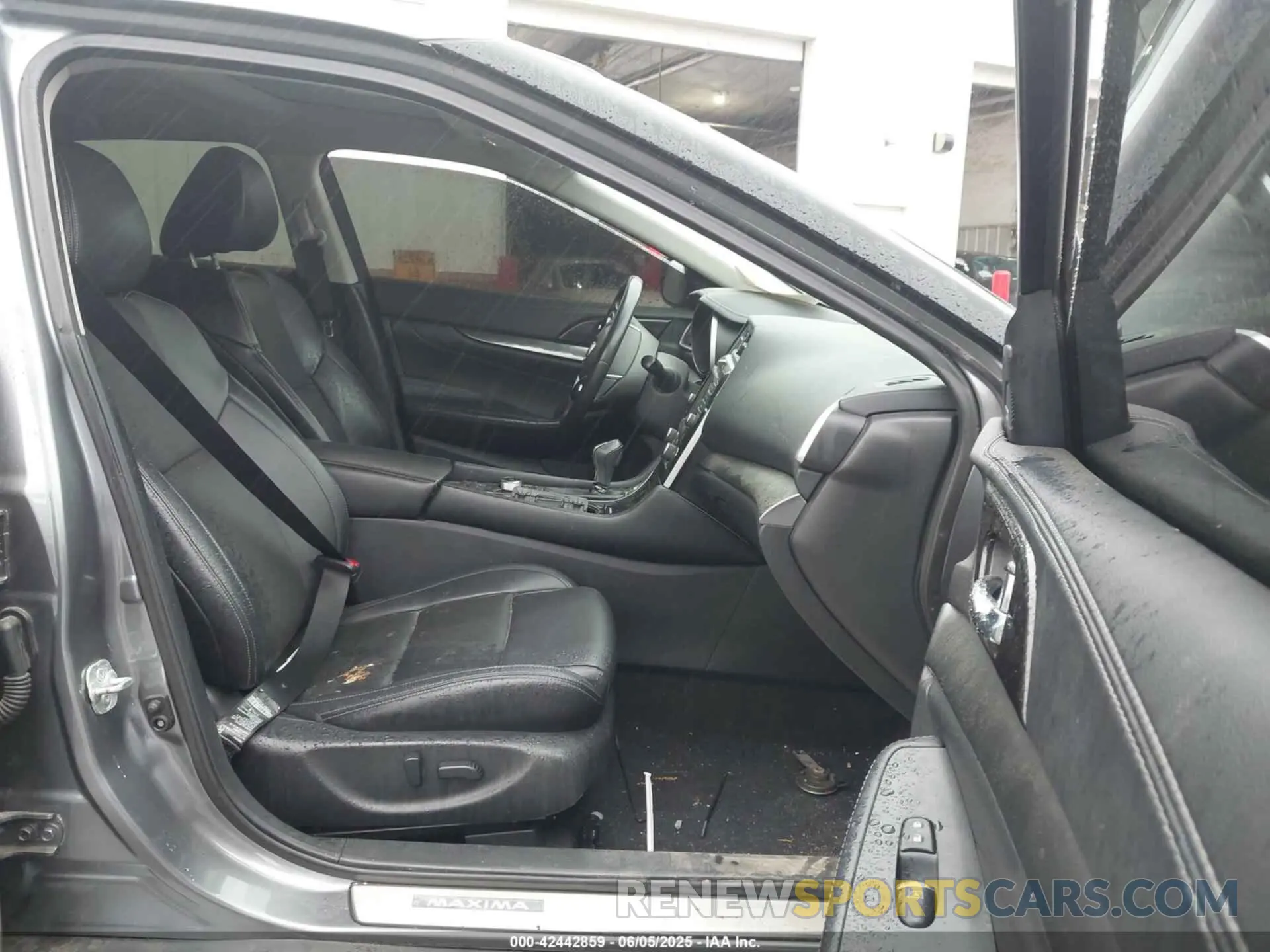 5 Photograph of a damaged car 1N4AA6AV1KC379113 NISSAN MAXIMA 2019