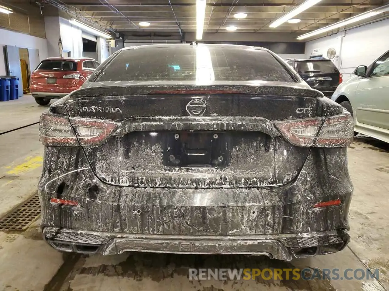 6 Photograph of a damaged car 1N4AA6AV2KC374535 NISSAN MAXIMA 2019