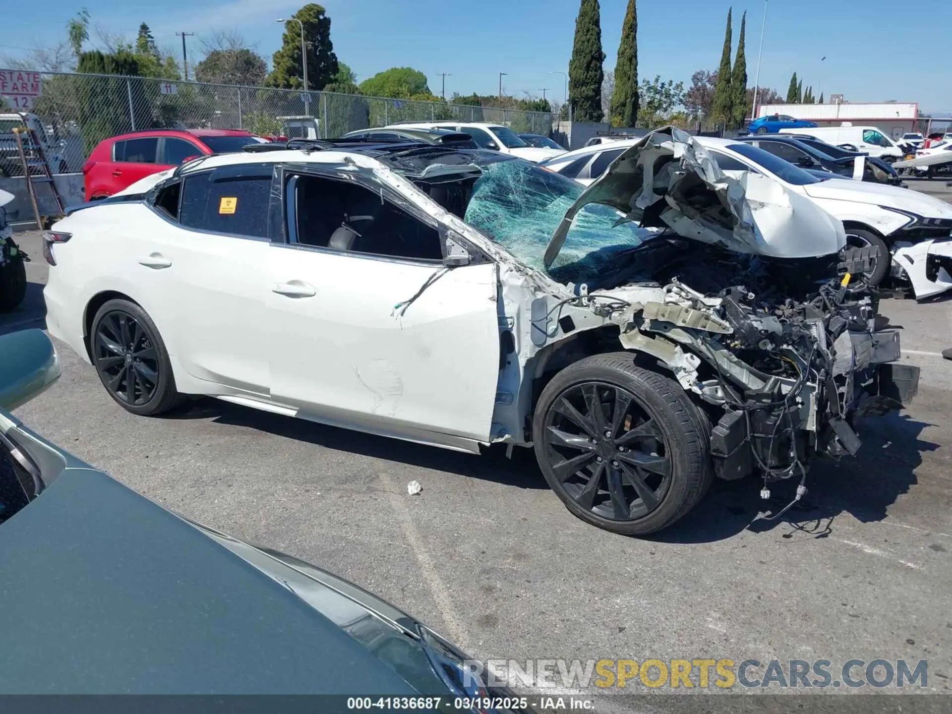13 Photograph of a damaged car 1N4AA6AV2KC375376 NISSAN MAXIMA 2019