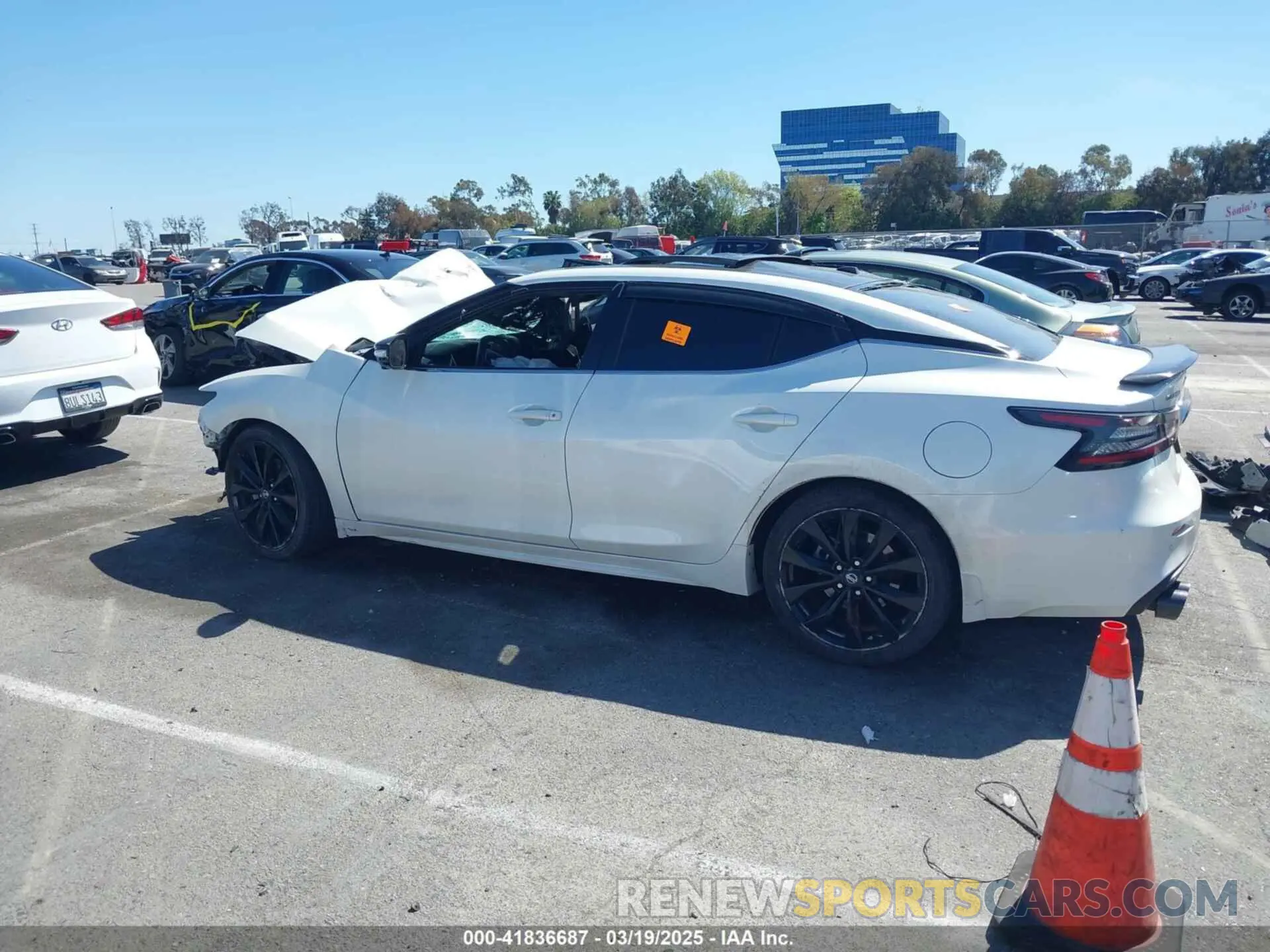 14 Photograph of a damaged car 1N4AA6AV2KC375376 NISSAN MAXIMA 2019