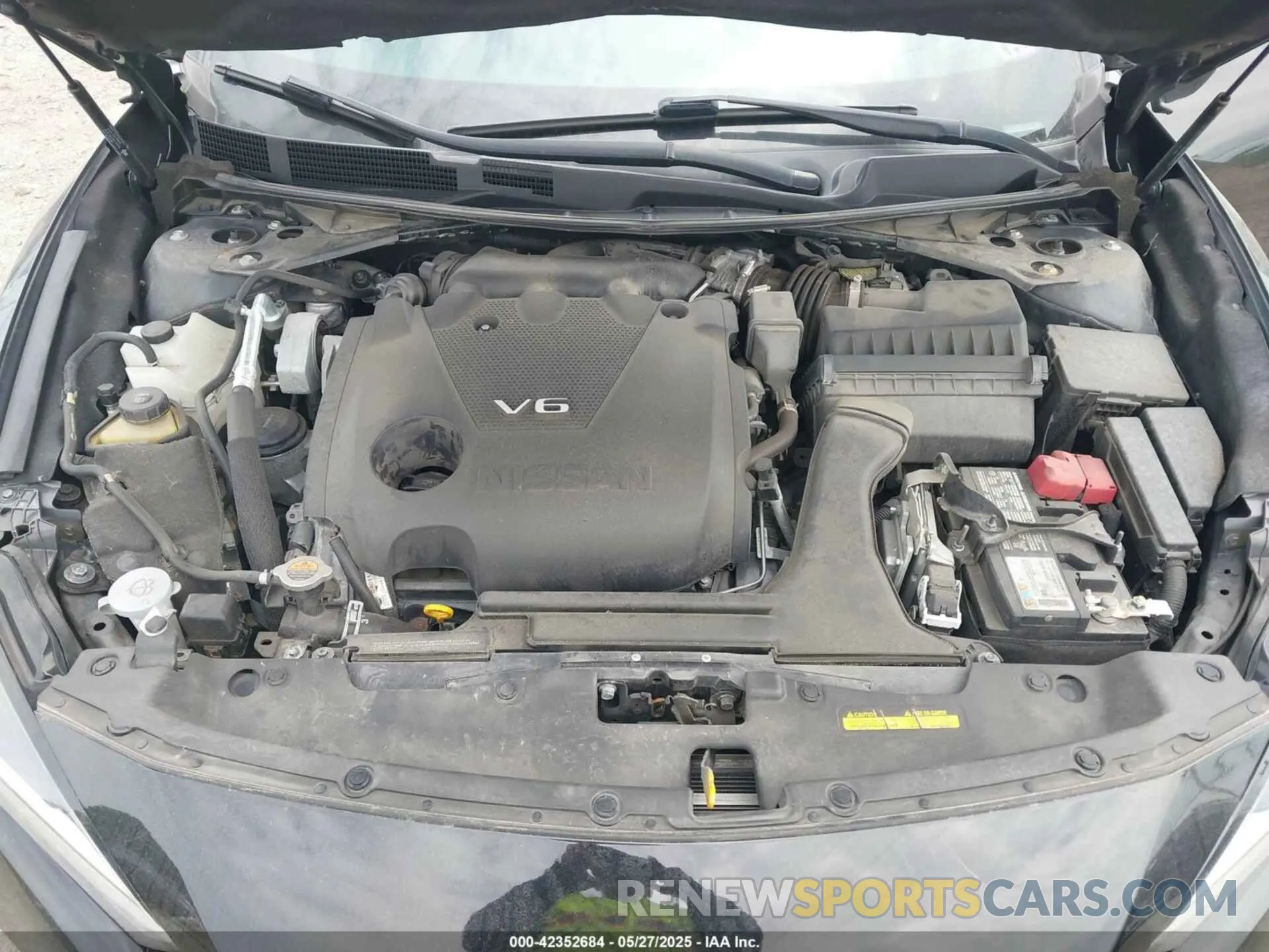10 Photograph of a damaged car 1N4AA6AV2KC379489 NISSAN MAXIMA 2019