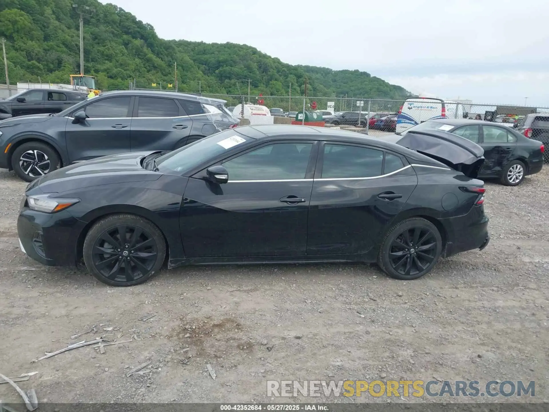 14 Photograph of a damaged car 1N4AA6AV2KC379489 NISSAN MAXIMA 2019