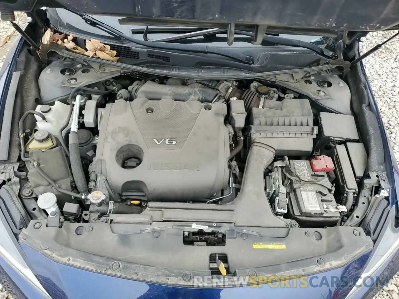 11 Photograph of a damaged car 1N4AA6AV3KC360983 NISSAN MAXIMA 2019