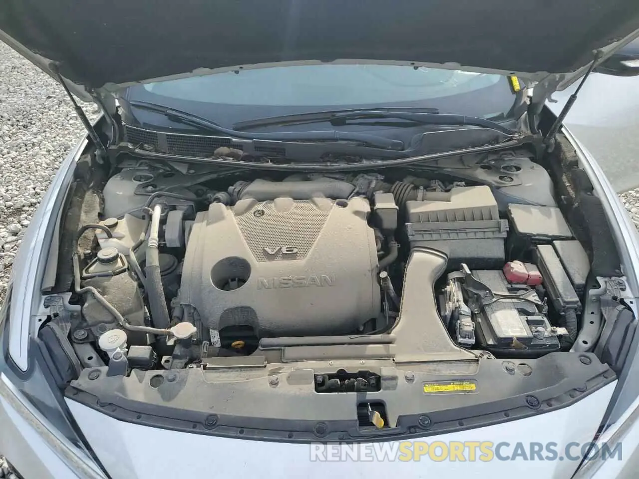 11 Photograph of a damaged car 1N4AA6AV3KC363334 NISSAN MAXIMA 2019