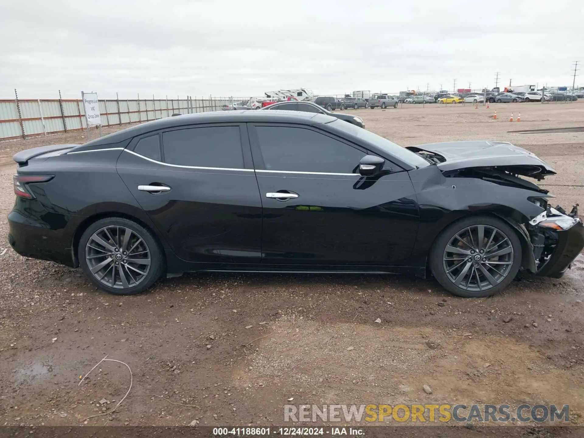 13 Photograph of a damaged car 1N4AA6AV3KC363415 NISSAN MAXIMA 2019